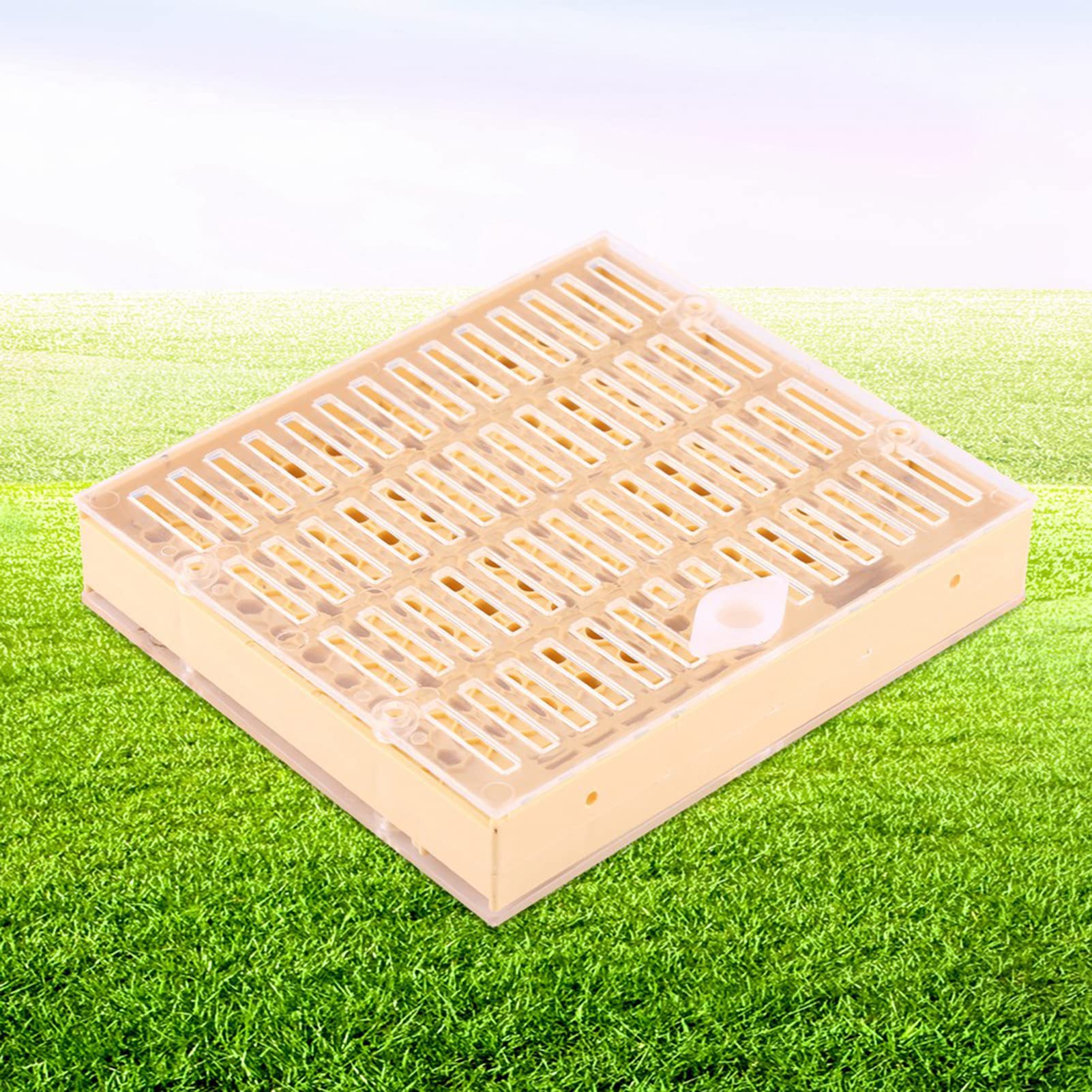 Nicot Queen Elevage Cell Bar Blocks Plastique Apiculture Queen Elevage Cups Box Cell Bar Blocks Hair Roller Cages Bee Keeper Equipment