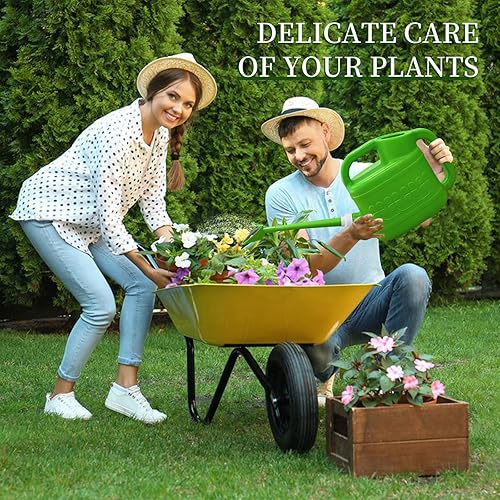 Miniatura 2 de Qilebi - Regadera de 2 galones para plantas de exterior, regaderas con pico largo extraíble y cabeza rociadora de acero inoxidable, regadera grande