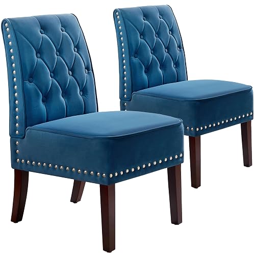DRM'SCUUM Armless Accent Chairs Slipper: 2PCS Tufted Buttons Slipper Chairs