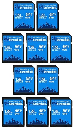 Everything But Stromboli 128GB SD Card (10 Pack) Speed Class 10 UHS-1 128G SDXC Memory Cards Bulk for Compatible Device - Camera, Computer, Video Cam