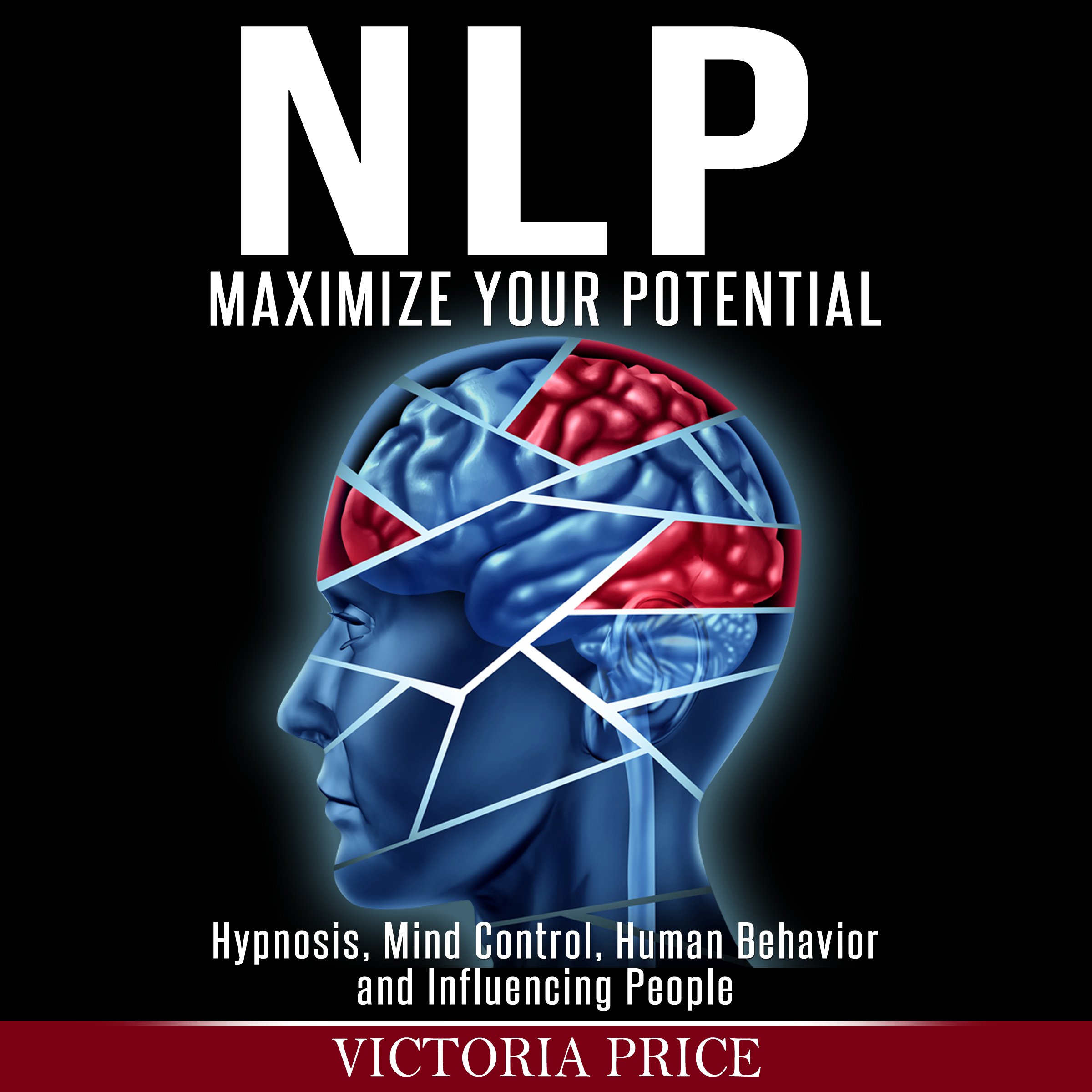 Cover art for NLP: Maximize Your Potential