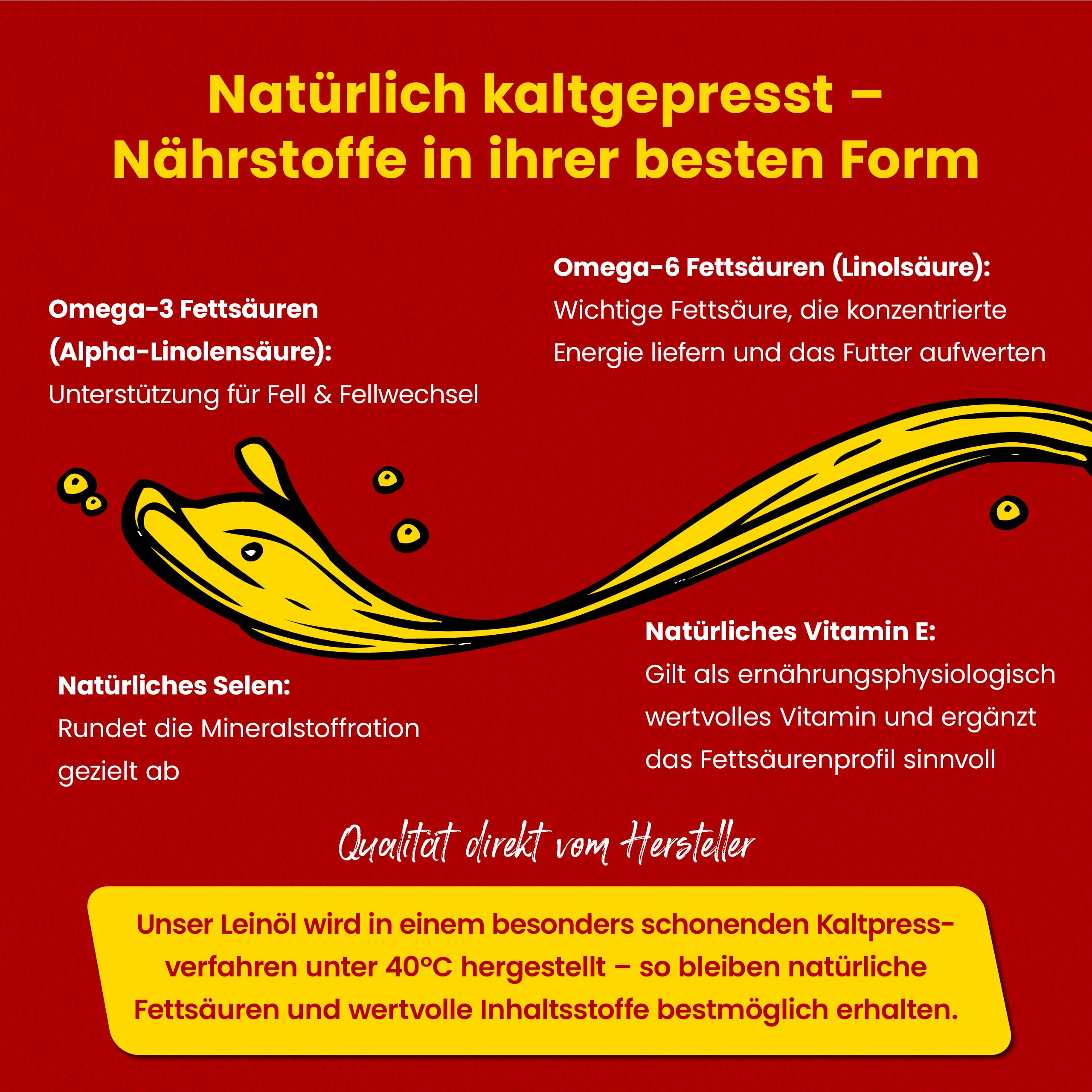 Scheidler horse-direkt Leinöl für Pferde, Hunde & Katzen 10 Liter – Mühlenfrisch kaltgepresstes Leinsamenöl ohne Zusätze – Reich an Omega 3 & 6 für Fellwechsel/Barf Öl – Aus Deutschland