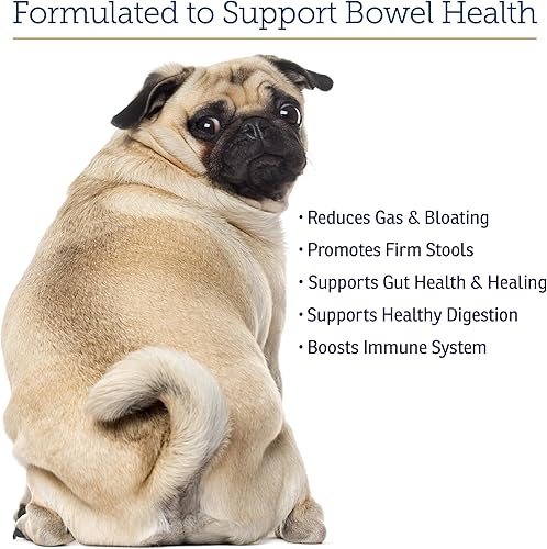 Miniatura 4 de Rx Vitamins NutriGest Cápsulas para gatos y perros - Probióticos para la salud digestiva mejorados con glucosamina para apoyo a la salud intestinal