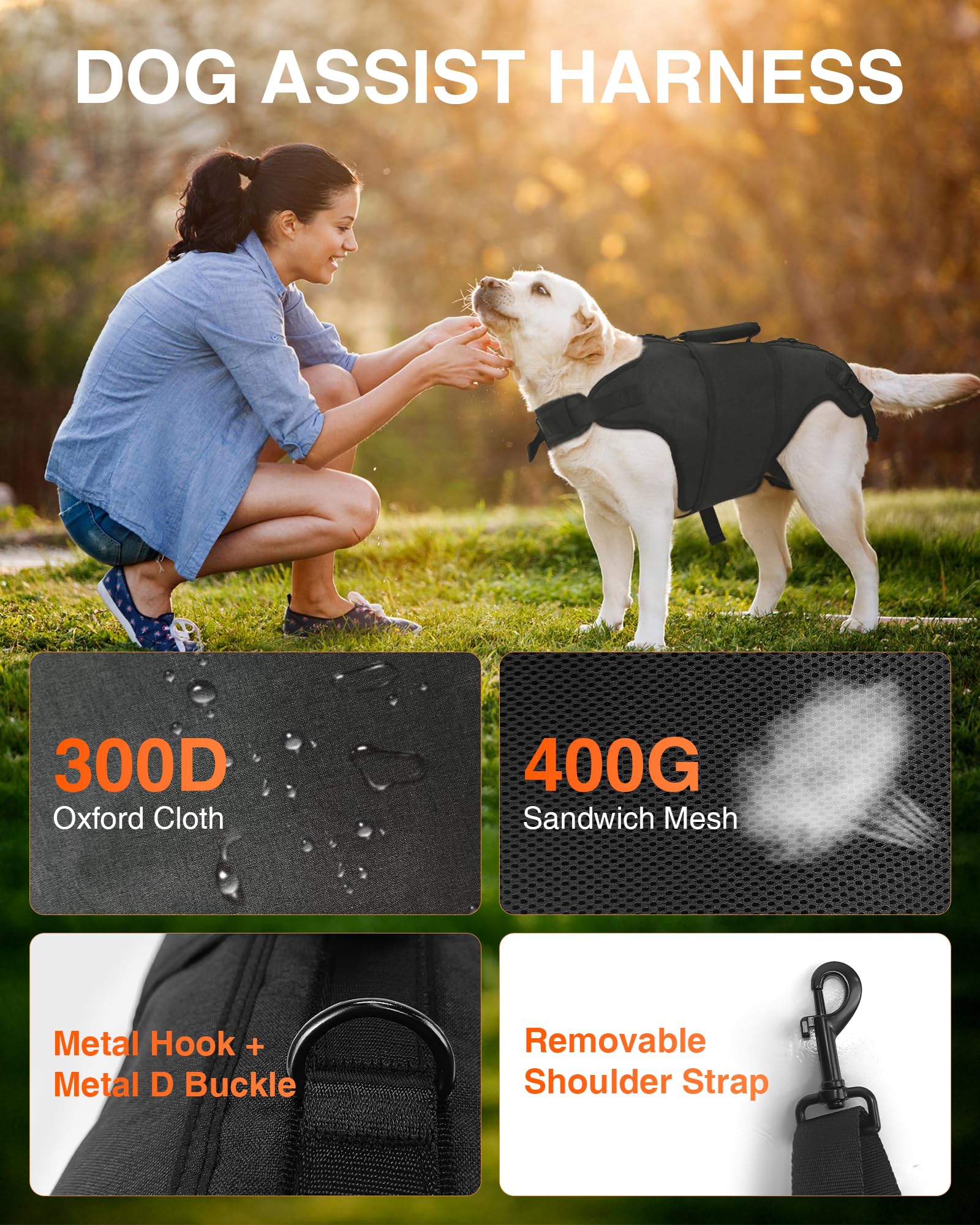 LISPOO Full Body Lift Harness for Dogs-Hind Leg Support Sling for Dogs with Hip Dysplasia Arthritis-Adjustable Recovery Harness-Stability Assistance & Walking Help with Easy Lift Handle M-Size - Image 2