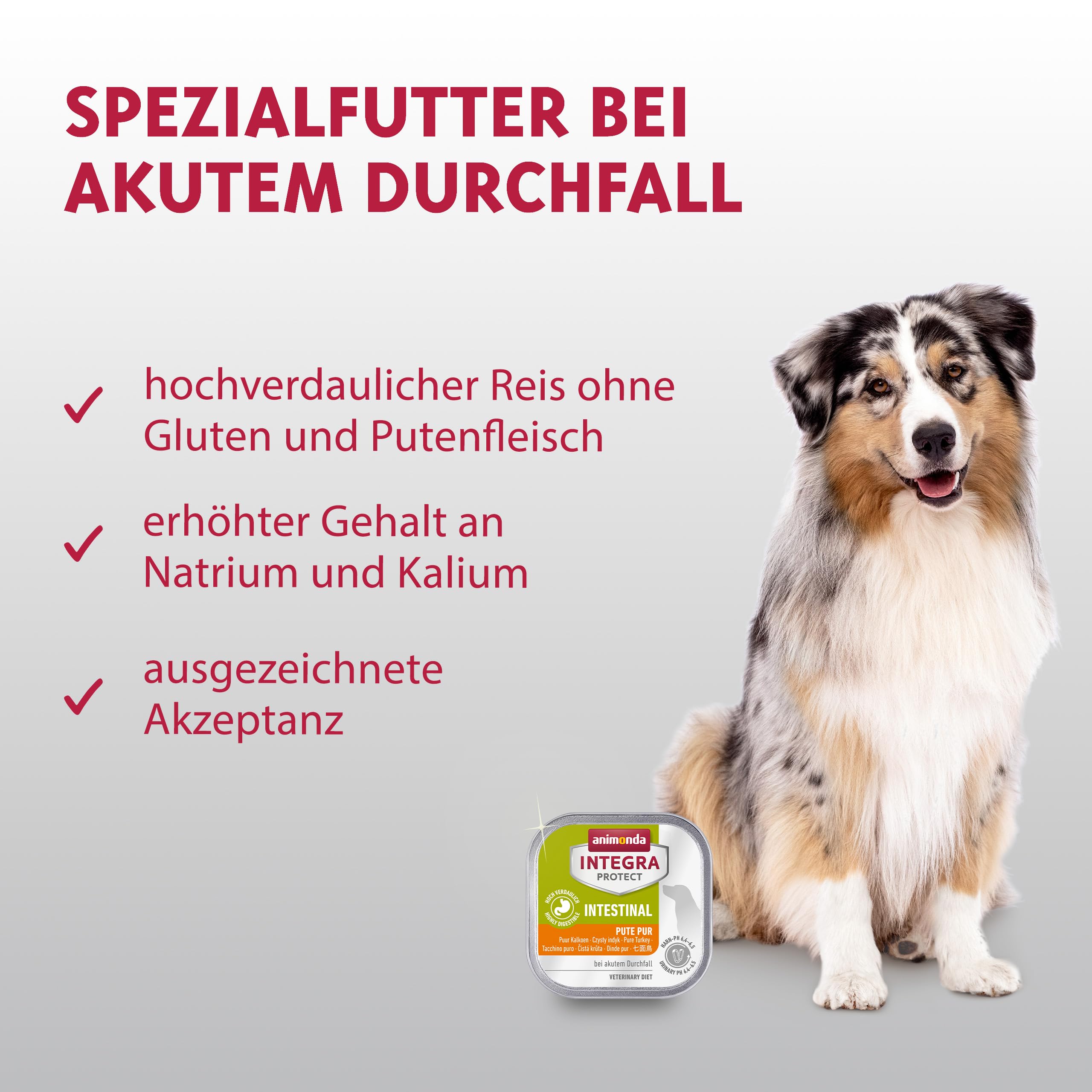 Animonda Integra Protect Gatto Intestinale, Cibo Per Gatti, Cibo Umido Per Diarrea O Vomito, Tacchino Puro, 6 X 100 G
