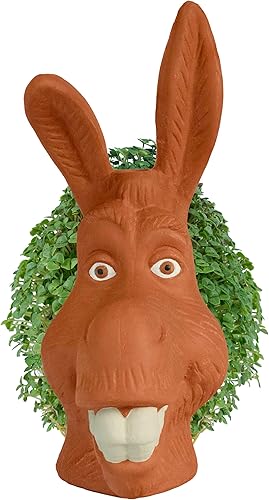 Miniatura 17 de Chia Pet Trolls, Poppy World Tour con paquete de semillas, maceta decorativa de cerámica, fácil de hacer y divertido de cultivar, regalo novedoso