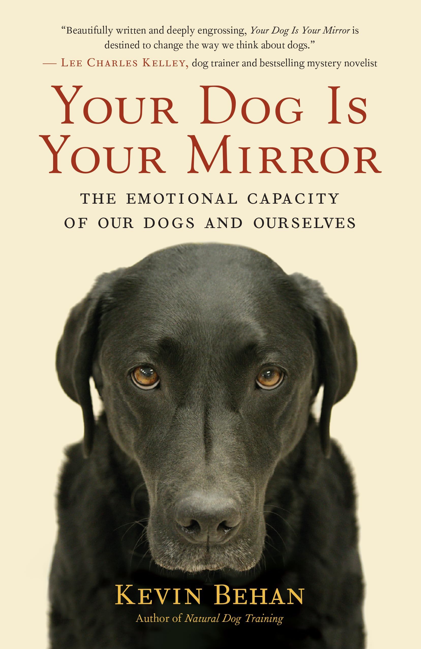 Your Dog Is Your Mirror: The Emotional Capacity of Our Dogs and Ourselves Paperback – August 14, 2022