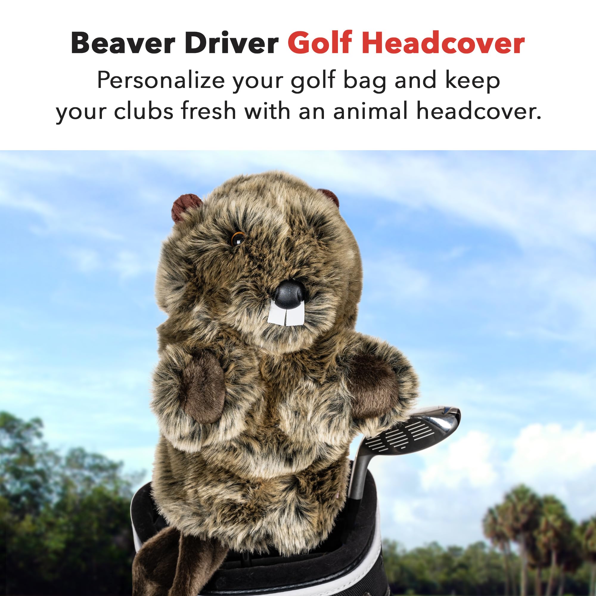 Daphne's Beaver Golfschlägerhaube