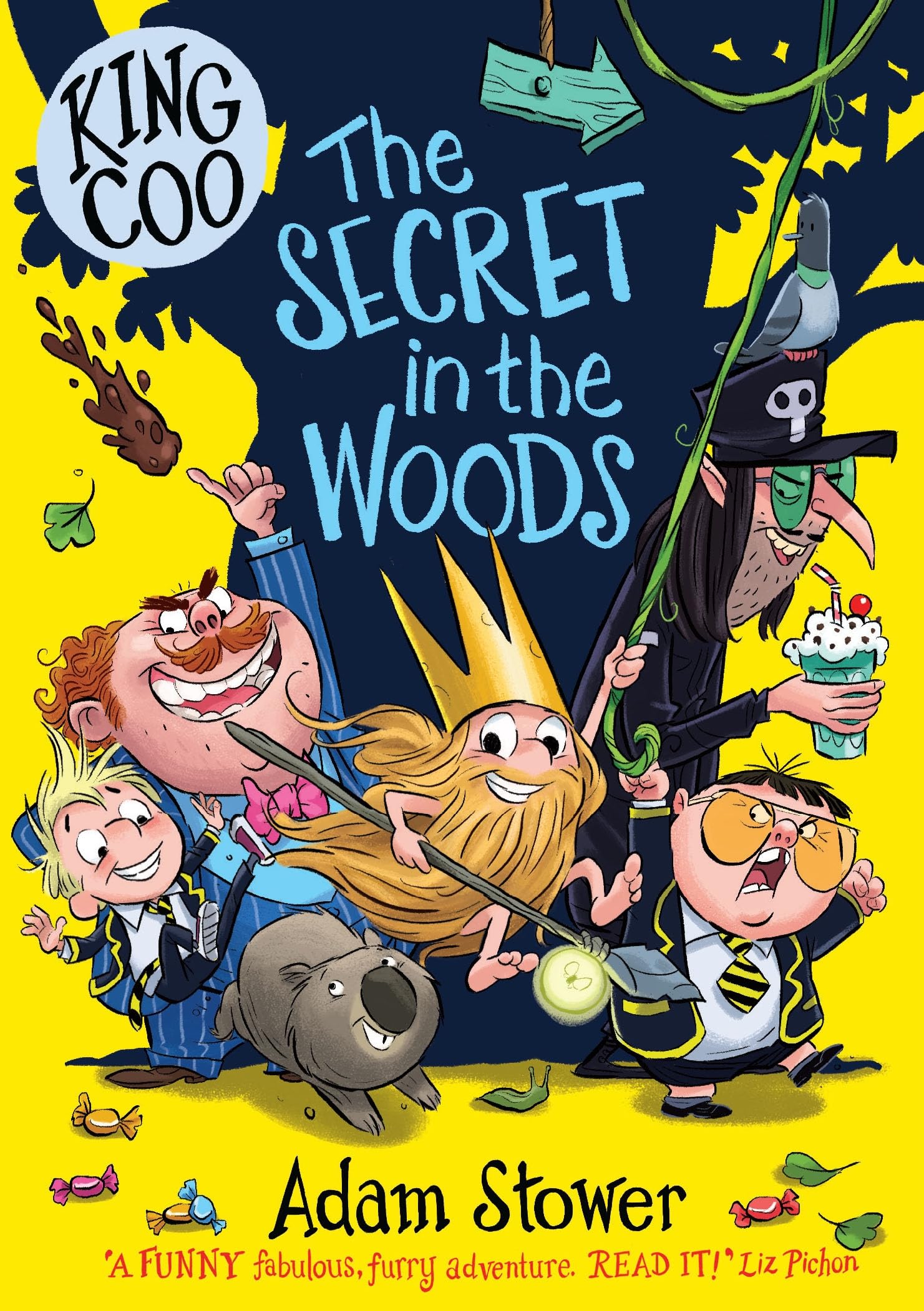 King Coo The Secret in the Woods by Adam Stower PAPERBACK 9781788453479