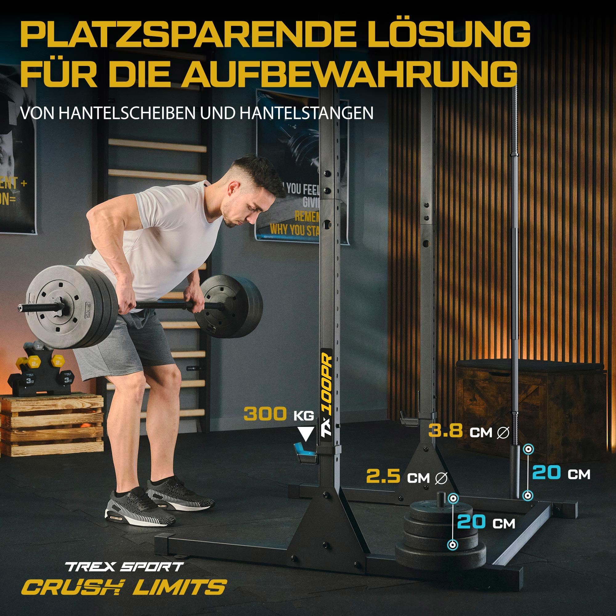 TREX SPORT Power Tower Dip Station freistehend Kraftturm bis 300kg TX-100PR | Multifunktionale Klimmzugstange aus Stahl, mit Langhantelablagen, Schwarz