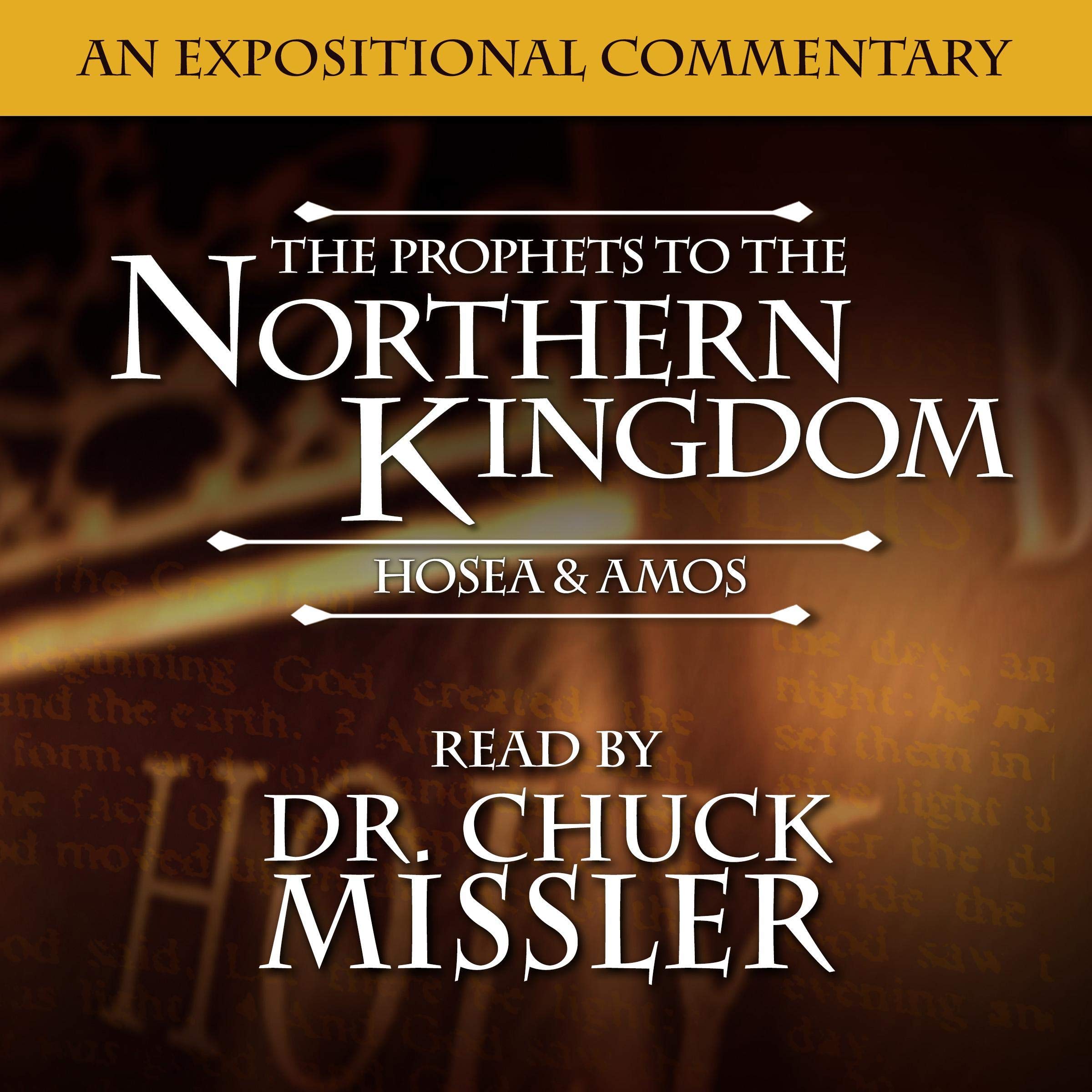 Cover art for Prophets to the Northern Kingdom: Hosea & Amos