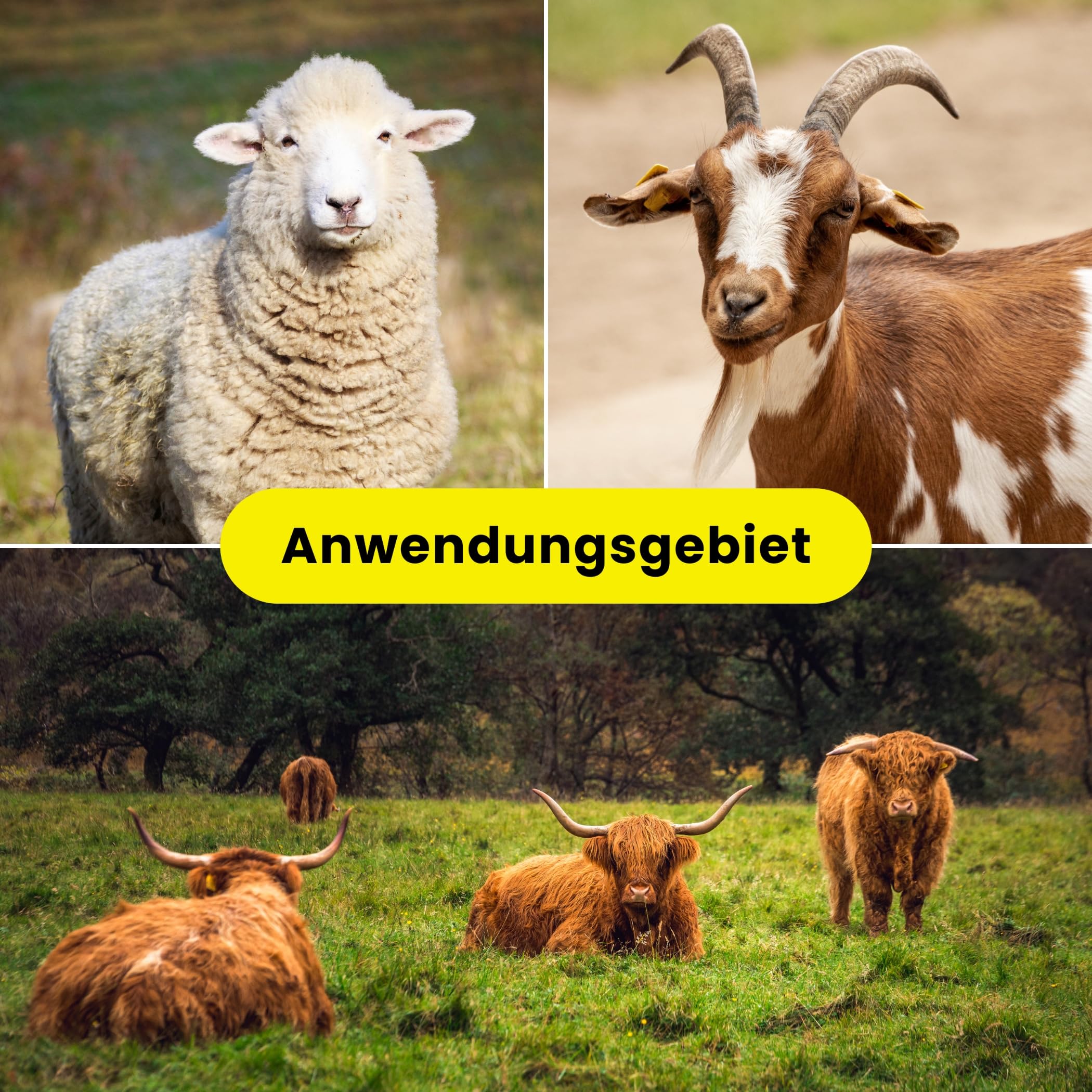 Weidezaunlitze 1000 m Power für sehr lange Weidezäune mit Kupferleiter Wildschwein Hirsch Rind Schaf