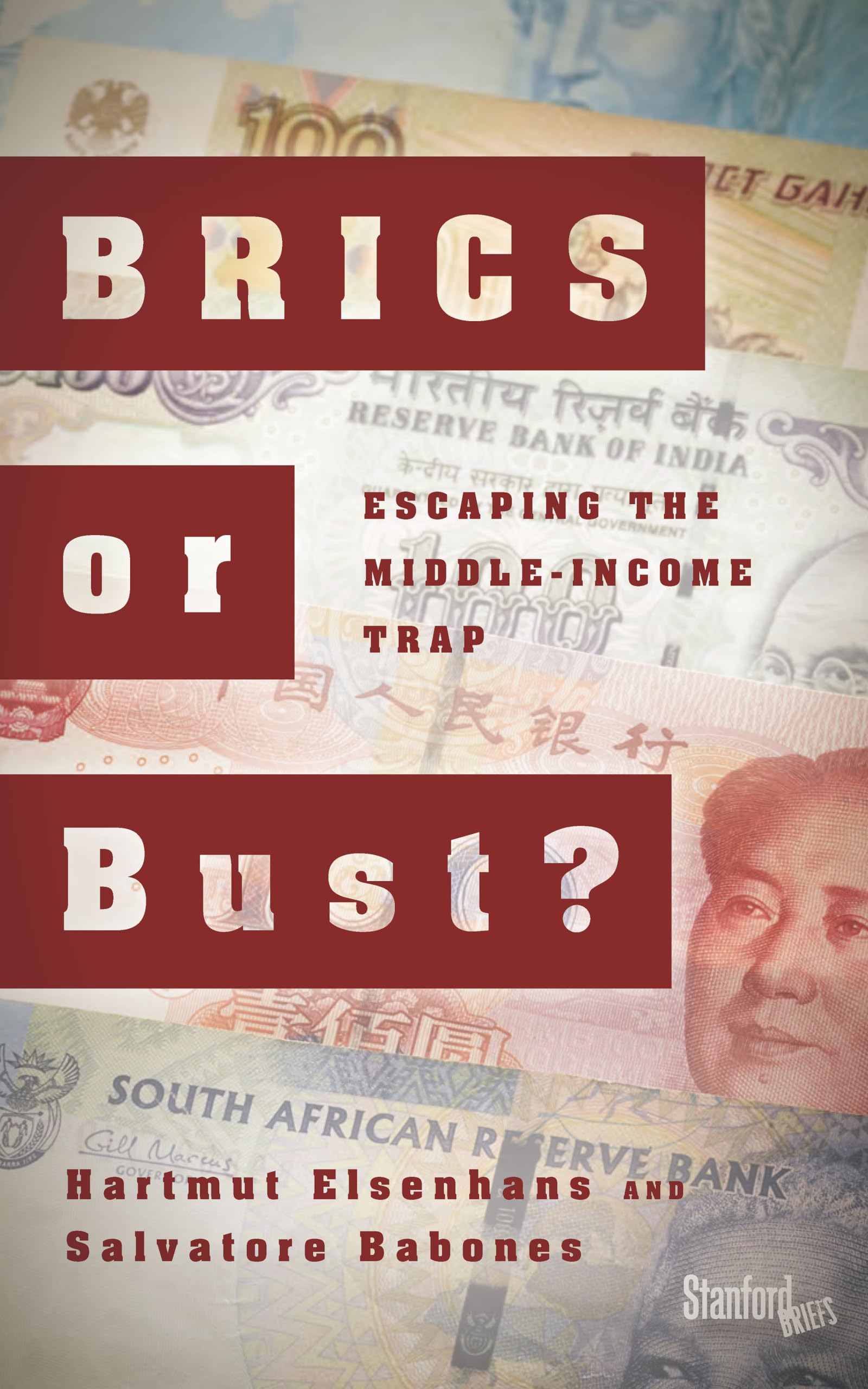 BRICS or Bust by Hartmut Elsenhans PAPERBACK 9780804799898
