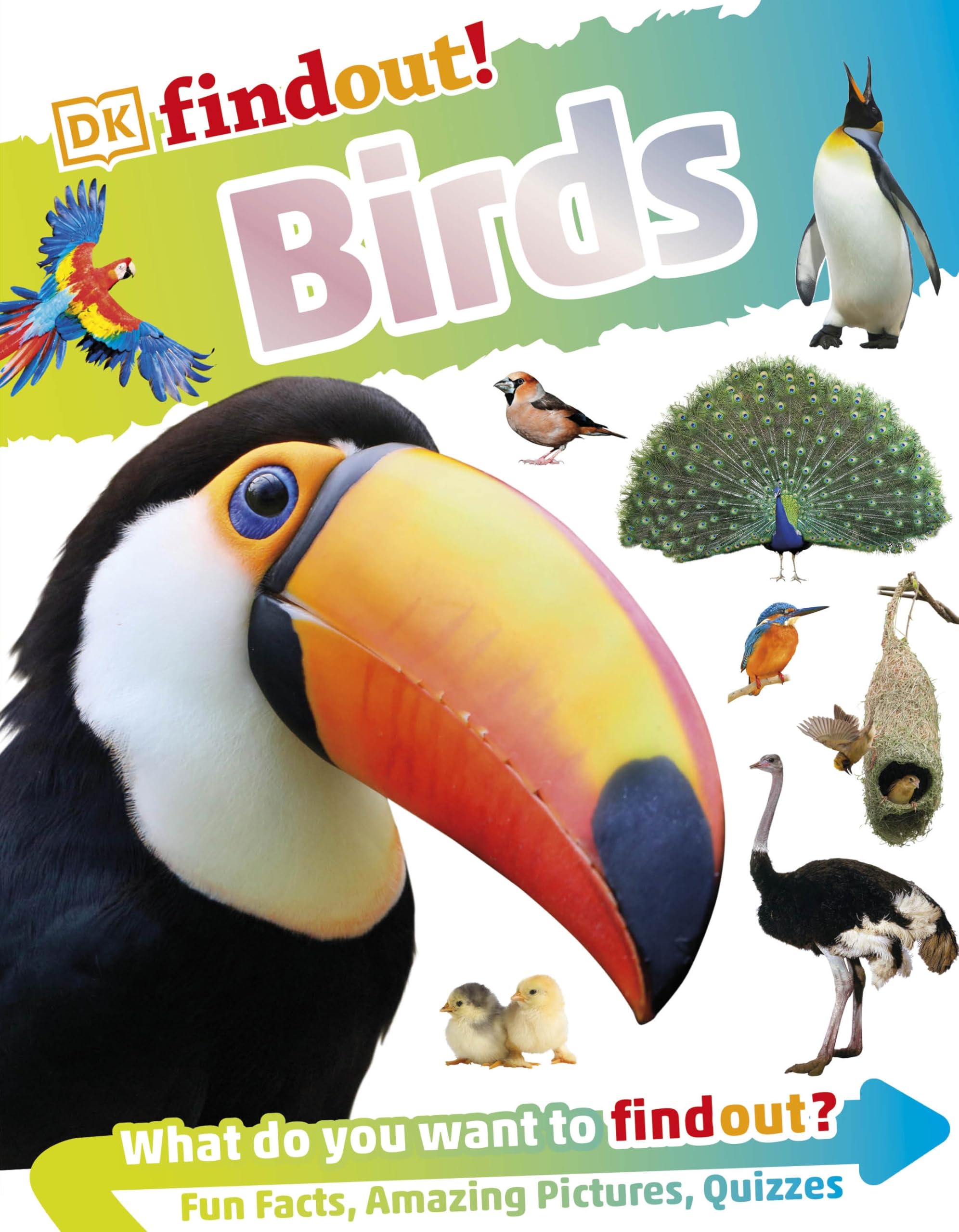 Birds (DKfindout!)