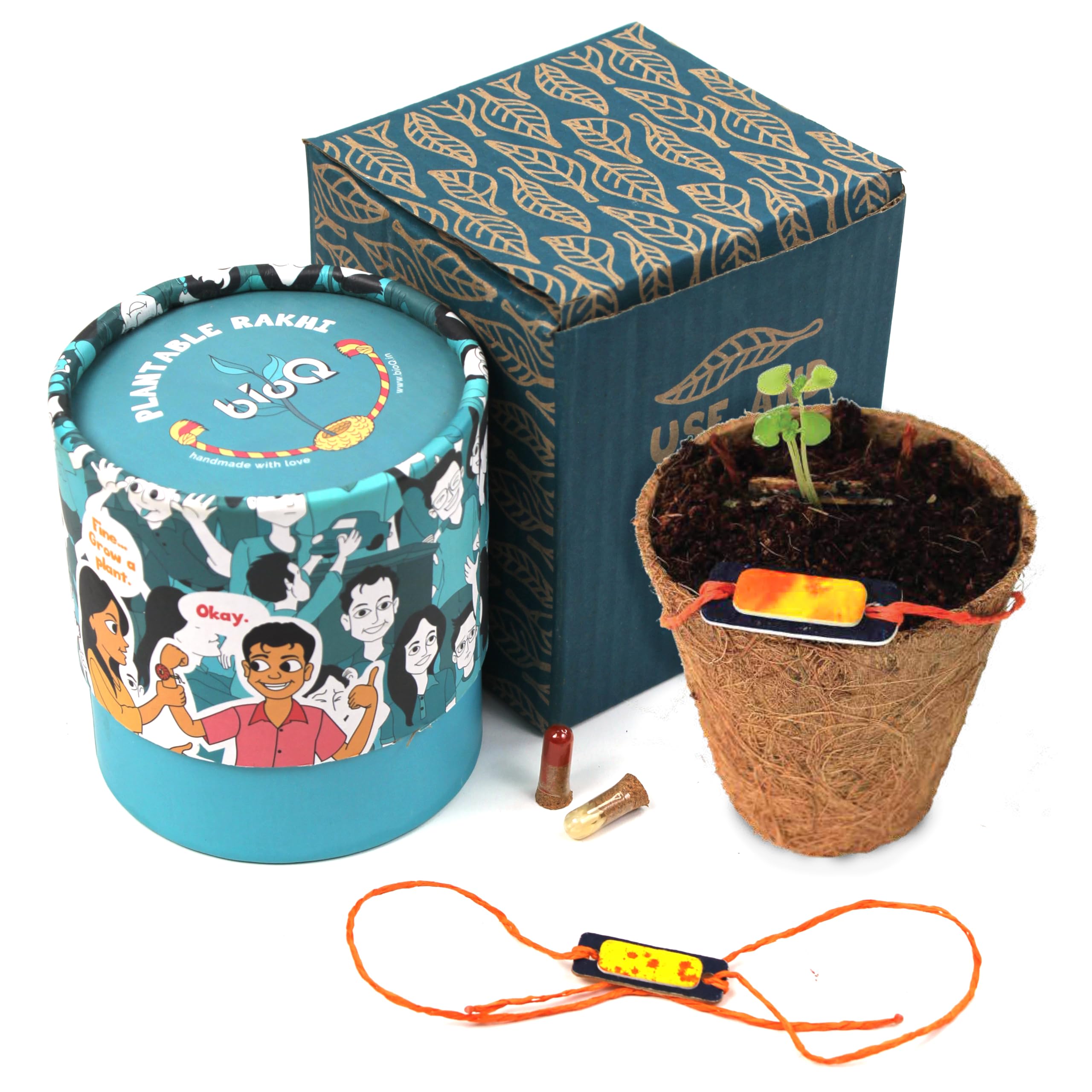 bioq eco-friendly plantable rakhi | planting kit + roli & chawal + letter included | rakhee with sunflower seed | bio-degradable rakshabhandhan