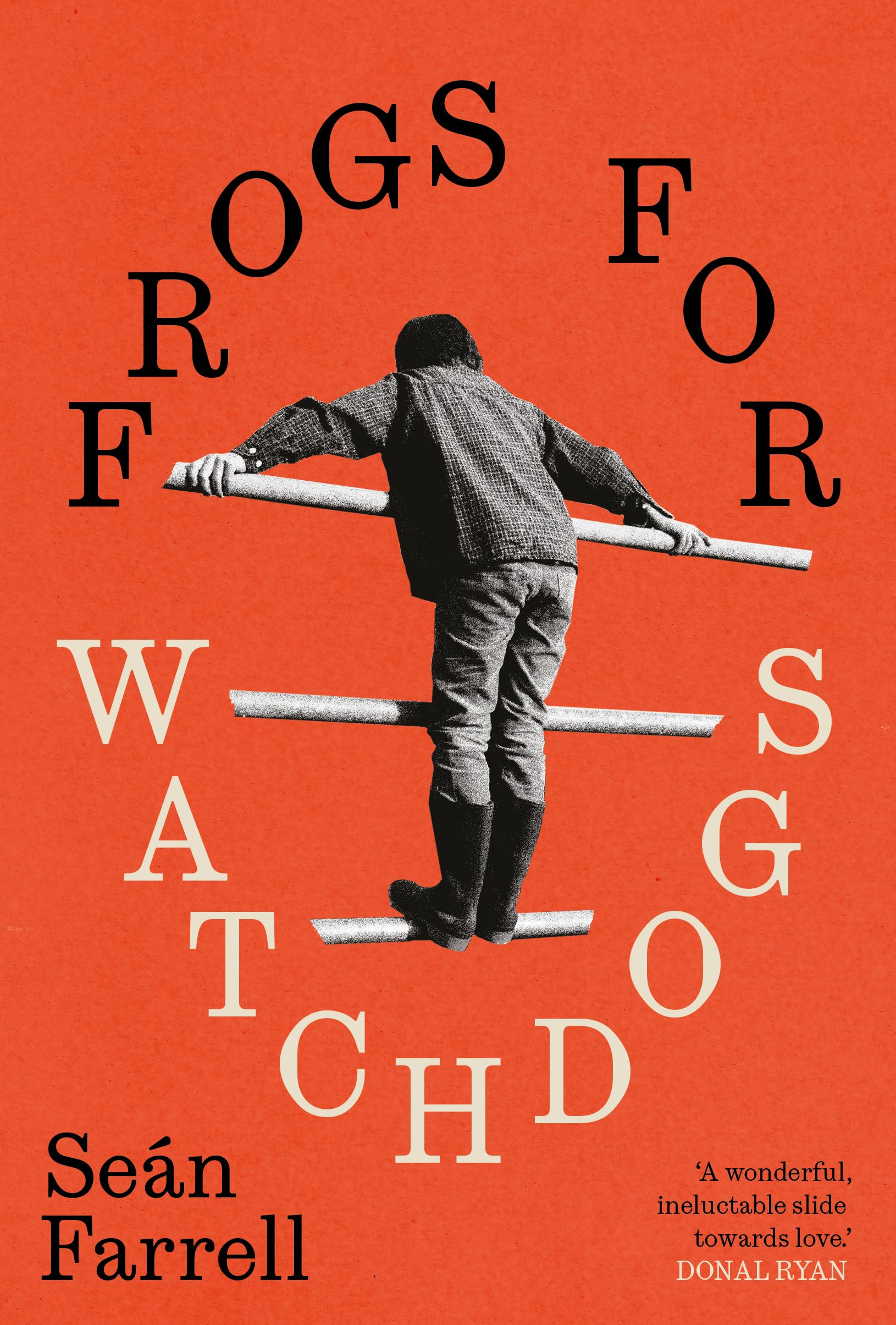 Frogs for Watchdogs: 'A stunning novel that will live long in my imagination.’ DONAL RYAN