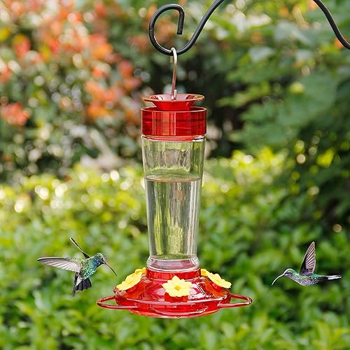 Shrdaepe Comedero para colibríes, comedero para pájaros con botella de vidrio, 5 puertos de alimentación, capacidad de néctar de 10 onzas (rojo y