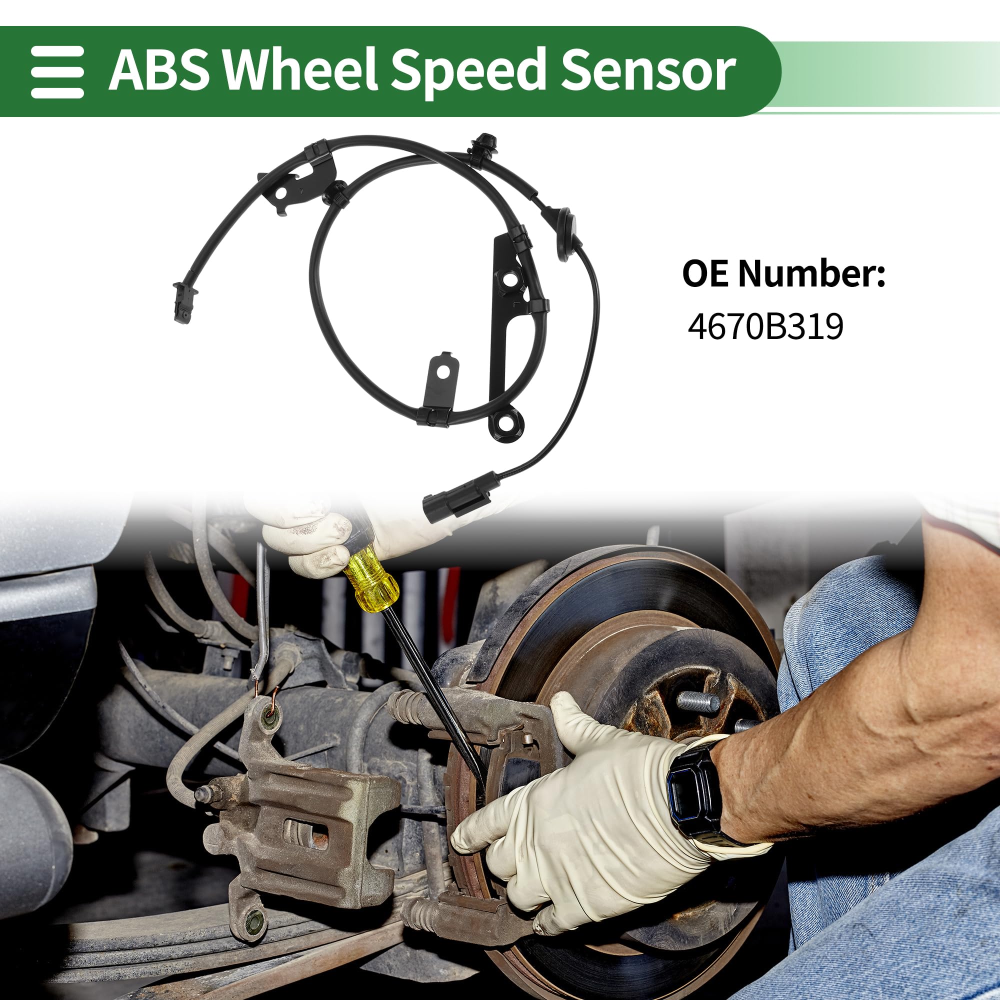 フォーレ・エディション19CD Amazon.co.jp: フォーレ:バラード Op. 19 /子守歌 Op. 16