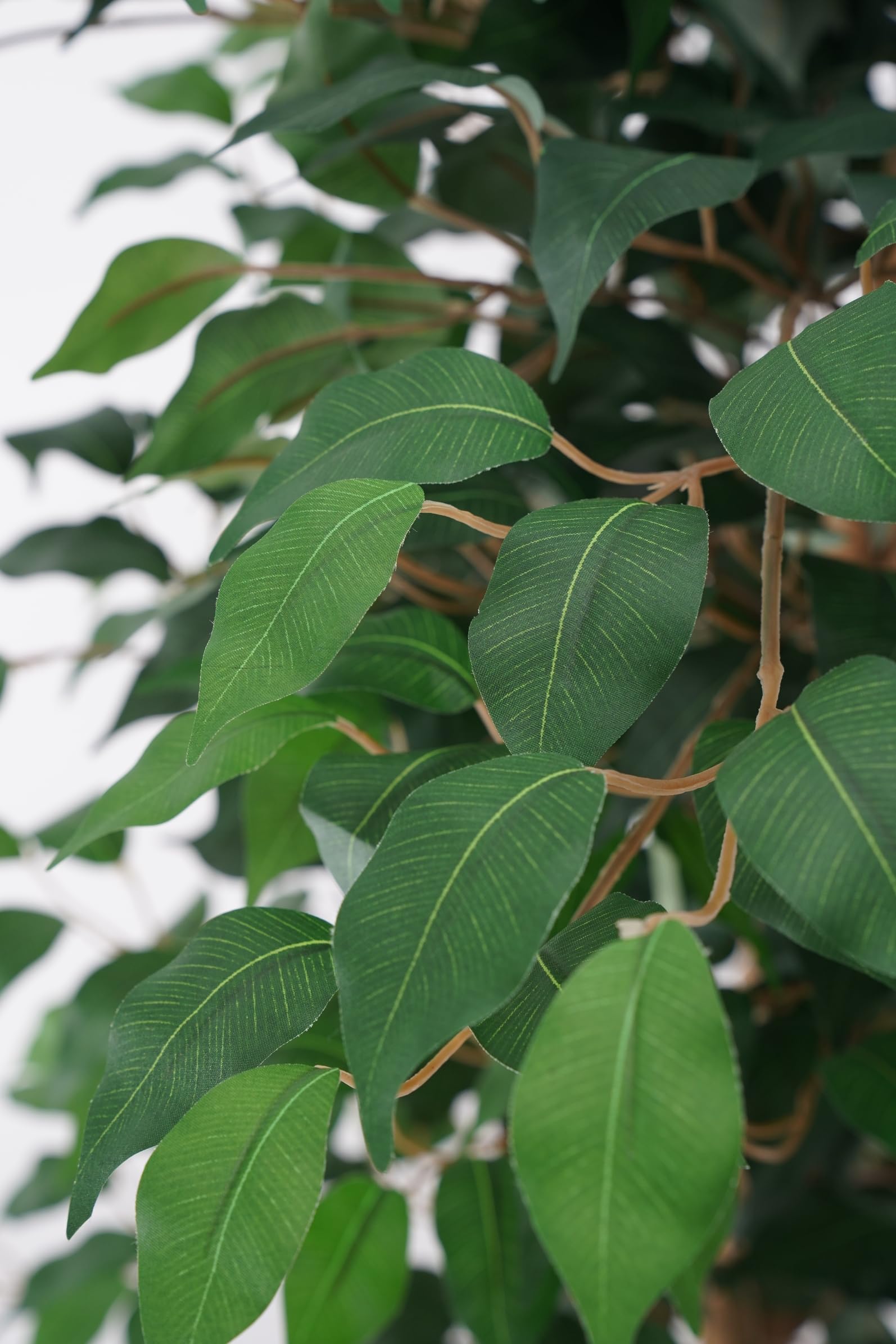 Ficus Benjamin Pianta Sintetica Finta Con Tronchi Intrecciati Legno Naturale e Foglie Poliestere Seta (Ficus-Benjamin 150cm)