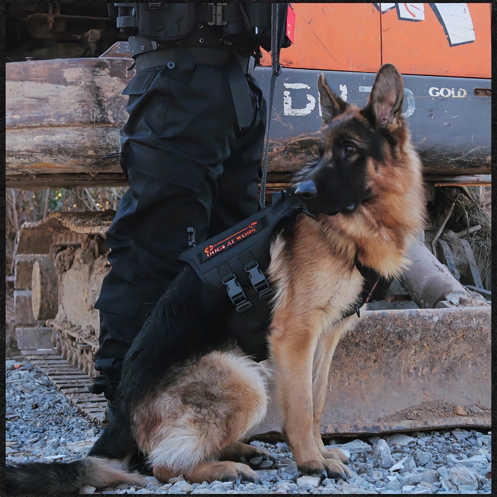 Imbragatura Tattica per Cani - Controllo Anti-trazione a 3 Punti | Oxford 1000D Resistente | Maniglie di Sicurezza Regolabili da 59 Pollici(Black,L)