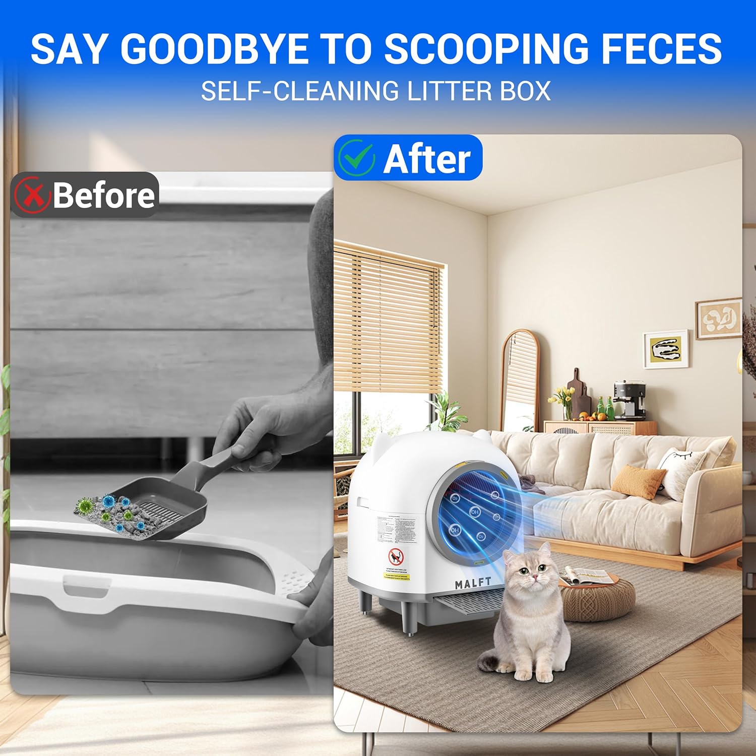 https://m.media-amazon.com/images/I/81-rp+fMvTL._AC_SL1500_.jpg