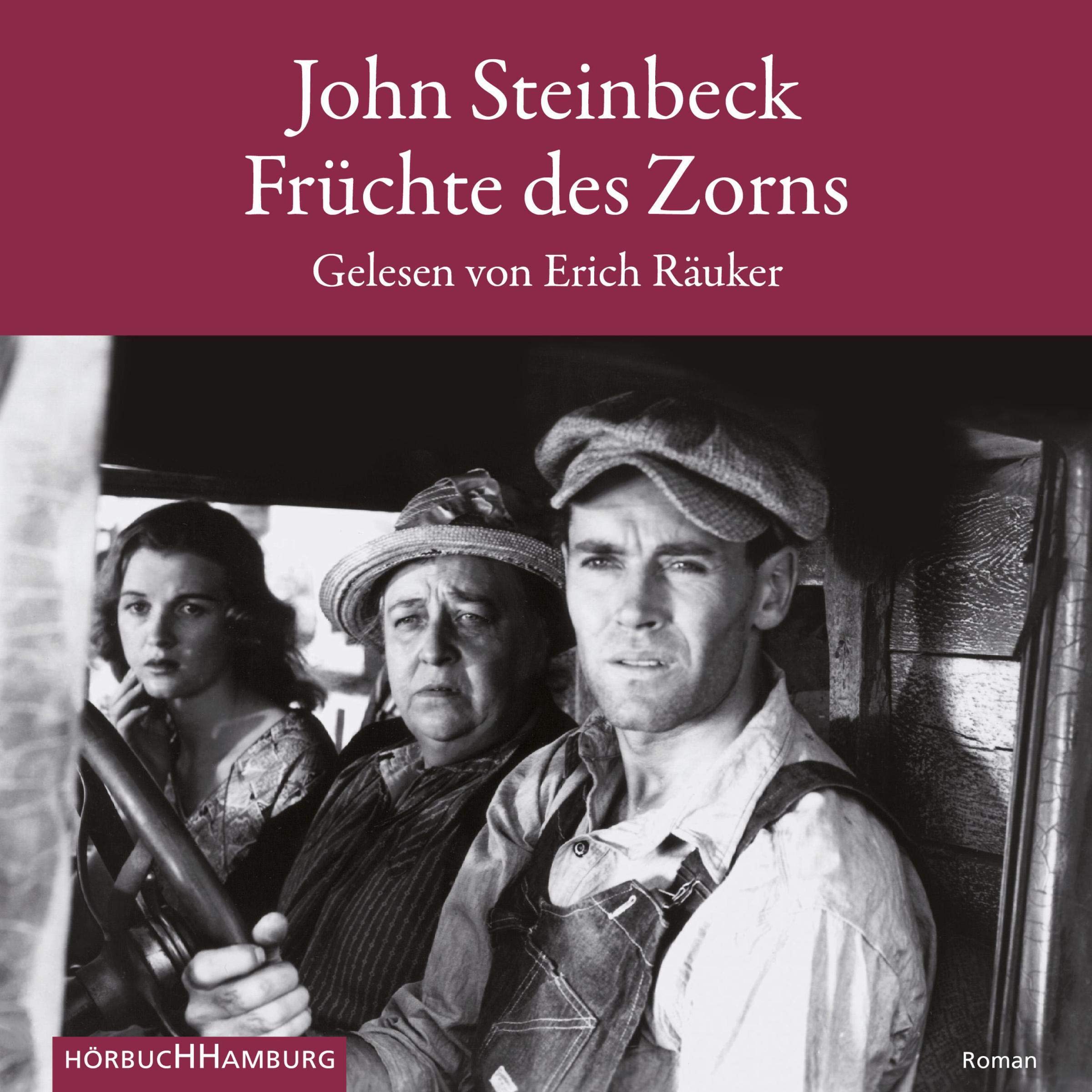 Cover art for Früchte des Zorns