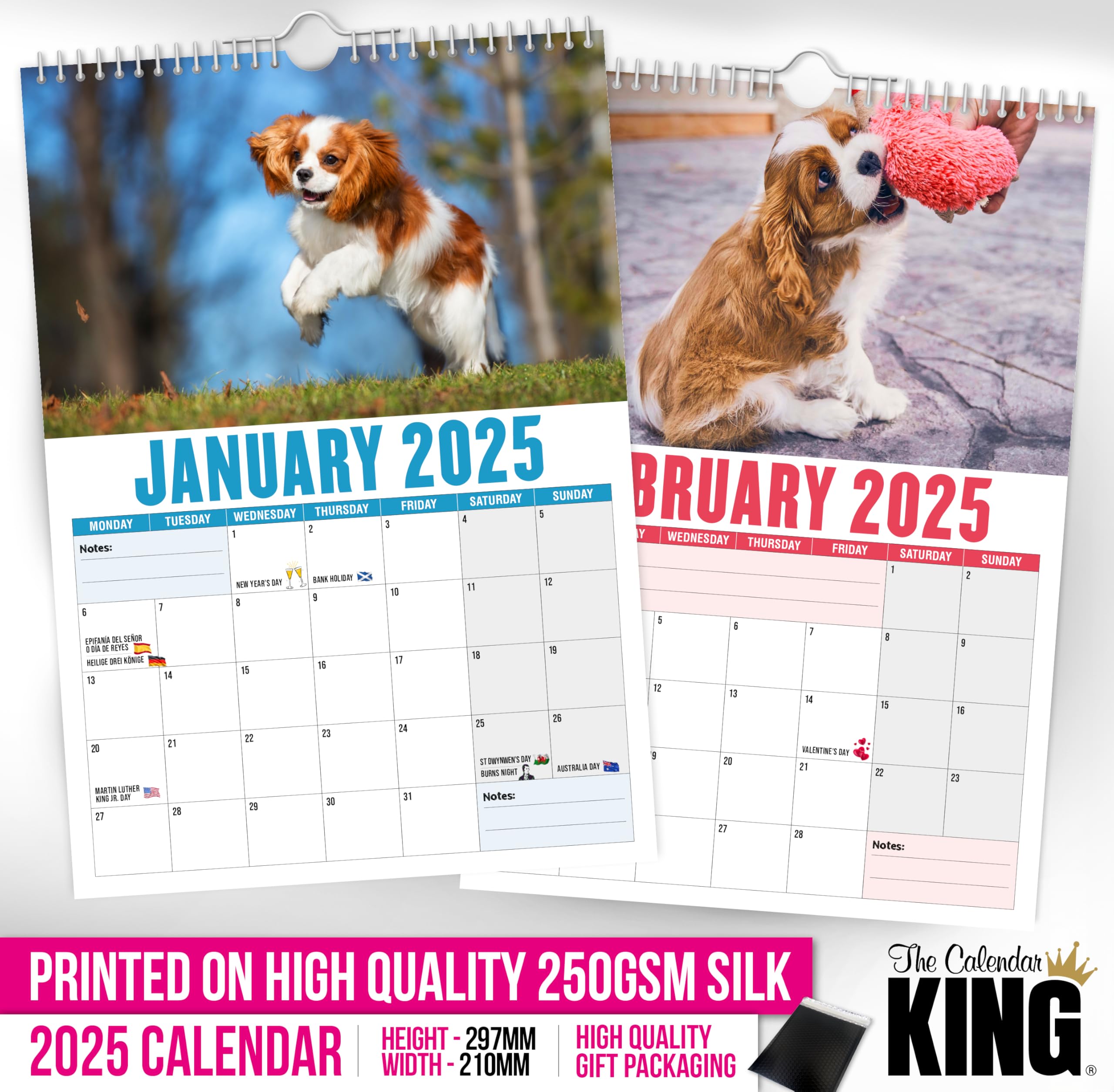 The Calendar King // Cavalier King Charles - A4 Size 2026 Wall Calendar, Full Colour - Image 2