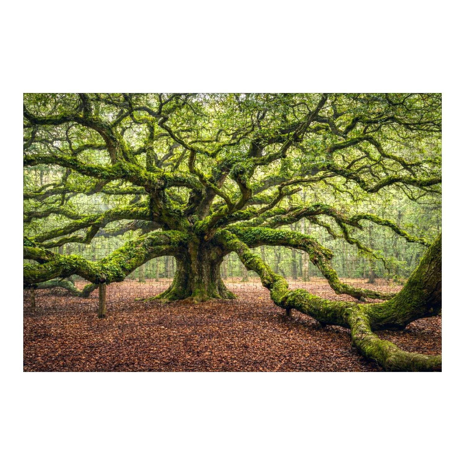 Angel Oak Tree Johns Island South Carolina 1000 Piece Wooden Jigsaw Puzzle Children Puzzles Adult Decompression Gift Games Toys Puzzle Home