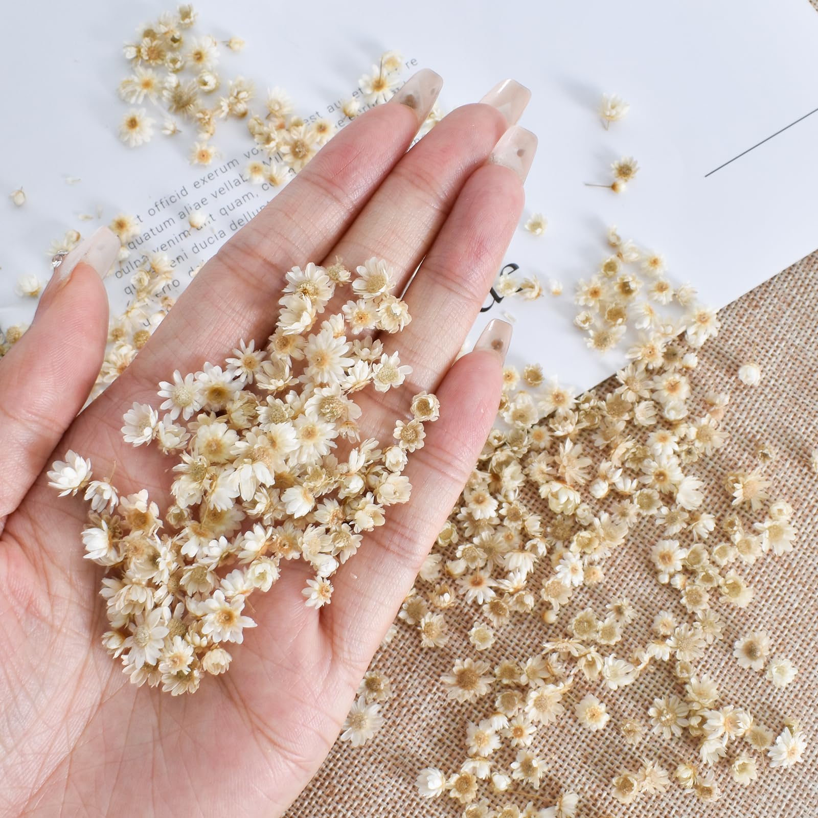 Fiori Secchi Per Il Fai-da-te Resina Epossidica Candela Facendo Gioielli Riempitivo Di Vetro - Foto 9