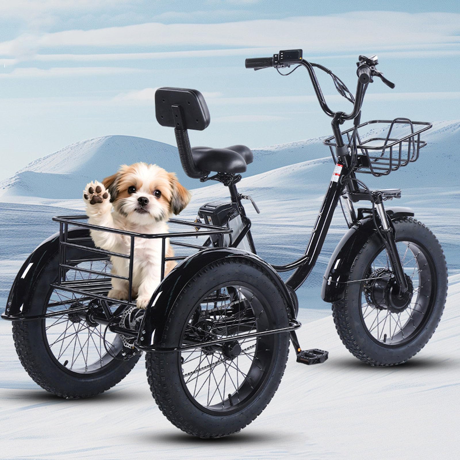 Tricycle Cargo électrique Utilitaire pour Adultes Seniors, 20 Pouces, 6 Vitesses, Batterie Amovible 48 V 13 Ah, autonomie de 40 km, Grands paniers Avant et arrière, écran LCD