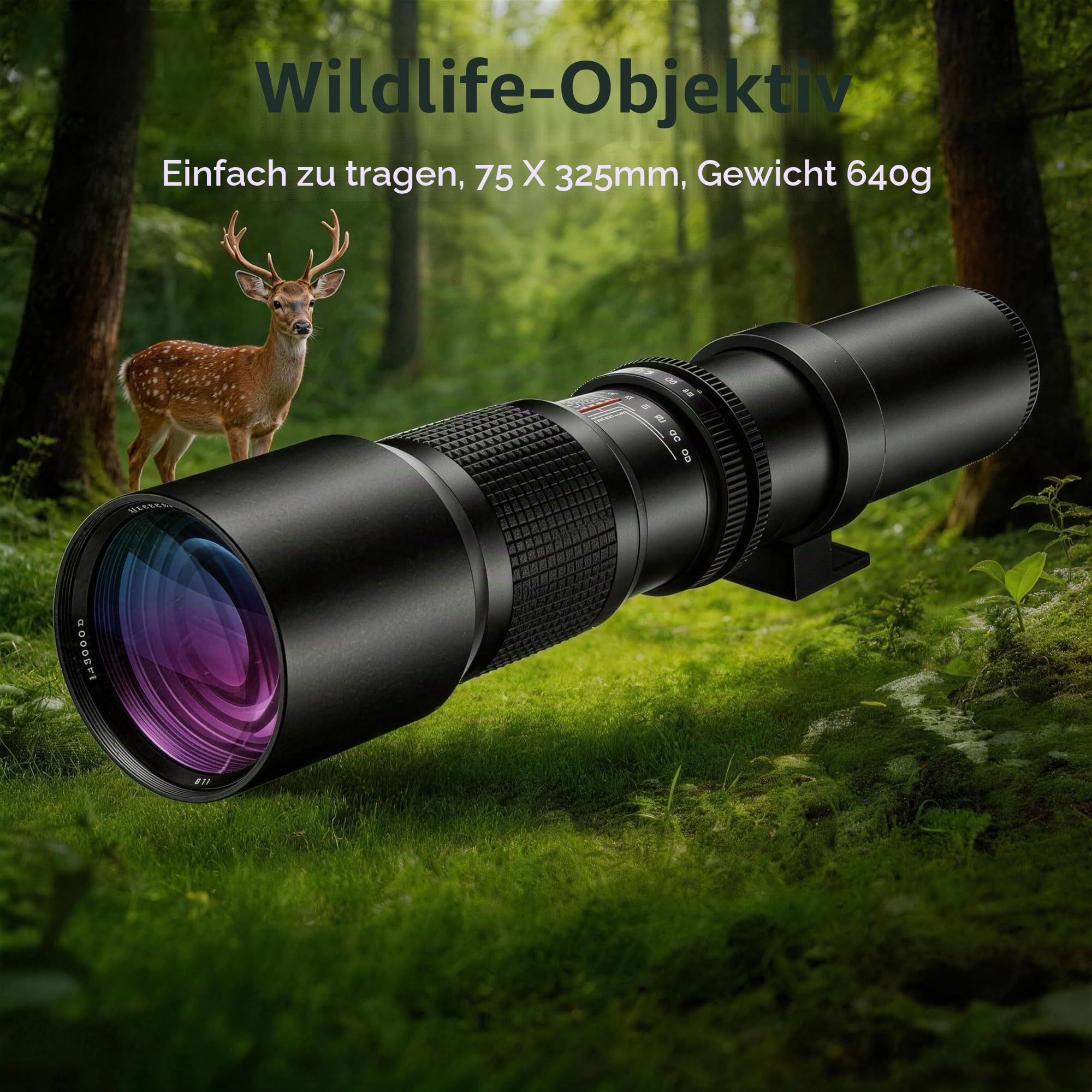 JINTU 500-1000mmTeleobjektiv EF Objektiv Manueller MF Objektiv für Canon T8i/T7i/T7/T6i/T5/T3i/T3/T2i/XSi 4000D 2000D 1500D 1300D 1200D 850D 800D 750D 600D 500D 550D DSLR Kameras Objektive EF/EF-S