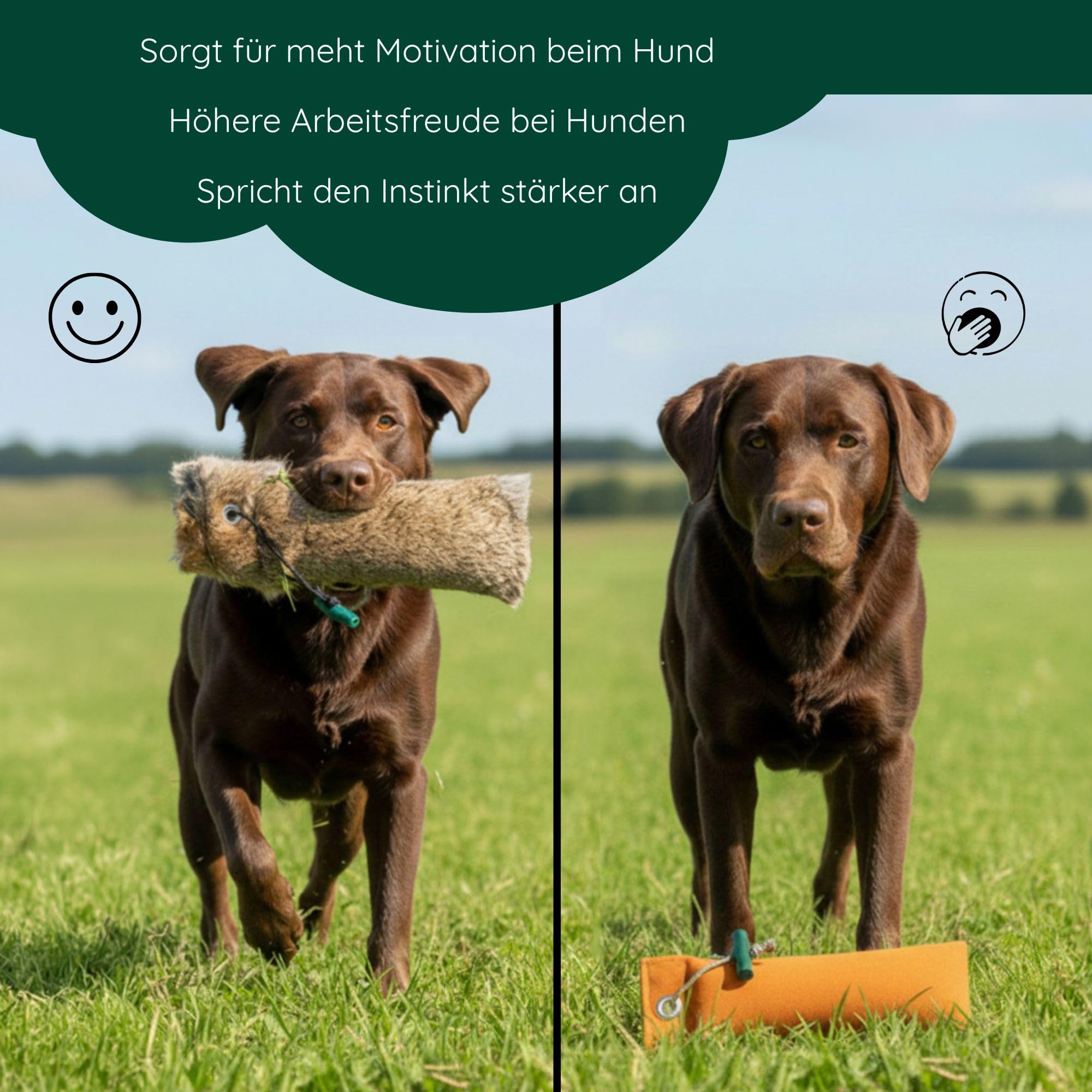 ROMNEYS Kaninchendummy | Standard-Dummy 500g mit echtem Kaninchenfell überzogen | Wild-Apportel für die jagdliche Hundeausbildung