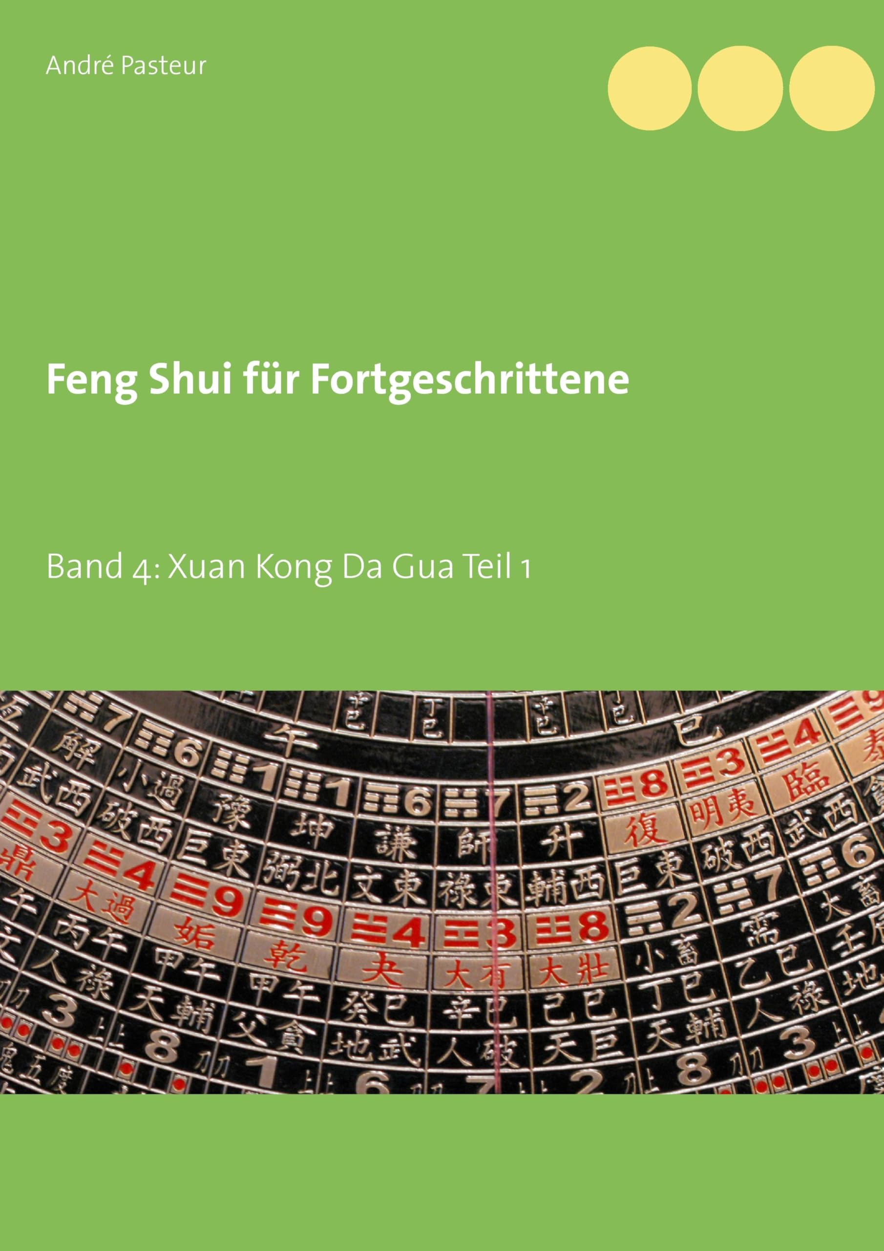 Feng Shui für Fortgeschrittene: Band 4: Xuan Kong Da Gua Teil 1