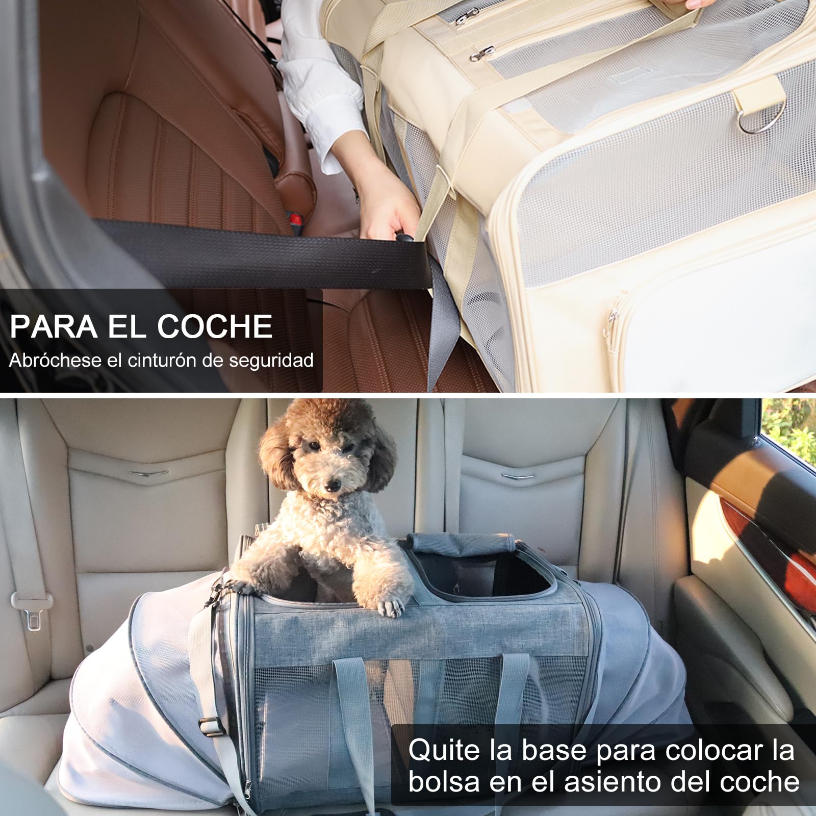 Transportín Doble para 2 Gatos con Ruedas - 2 Compartimentos Independientes,Base Extraíble y Correas de Seguridad - Transpirable - Ideal Viajes en Coche/Veterinario (55x44x33 cm)