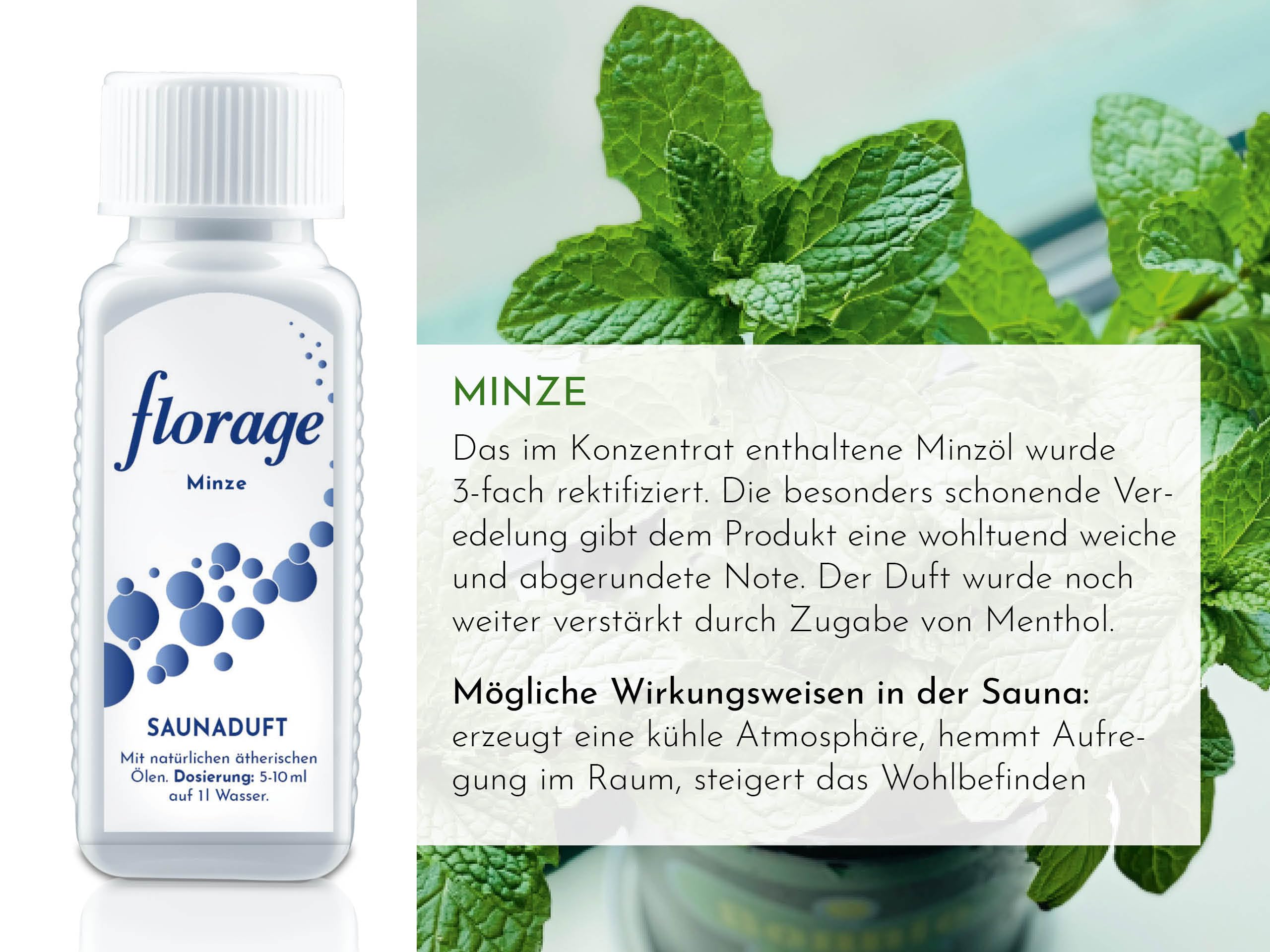 5x 100ml Saunaaufguss Saunaduft Konzentrat Duftöl Geschenkset - Eukalyptus, Minze, Latschenkiefer, Citrone/Orange, Sauna Gold - auch für Kräuterbäder, Aromaschalen und Thermarien