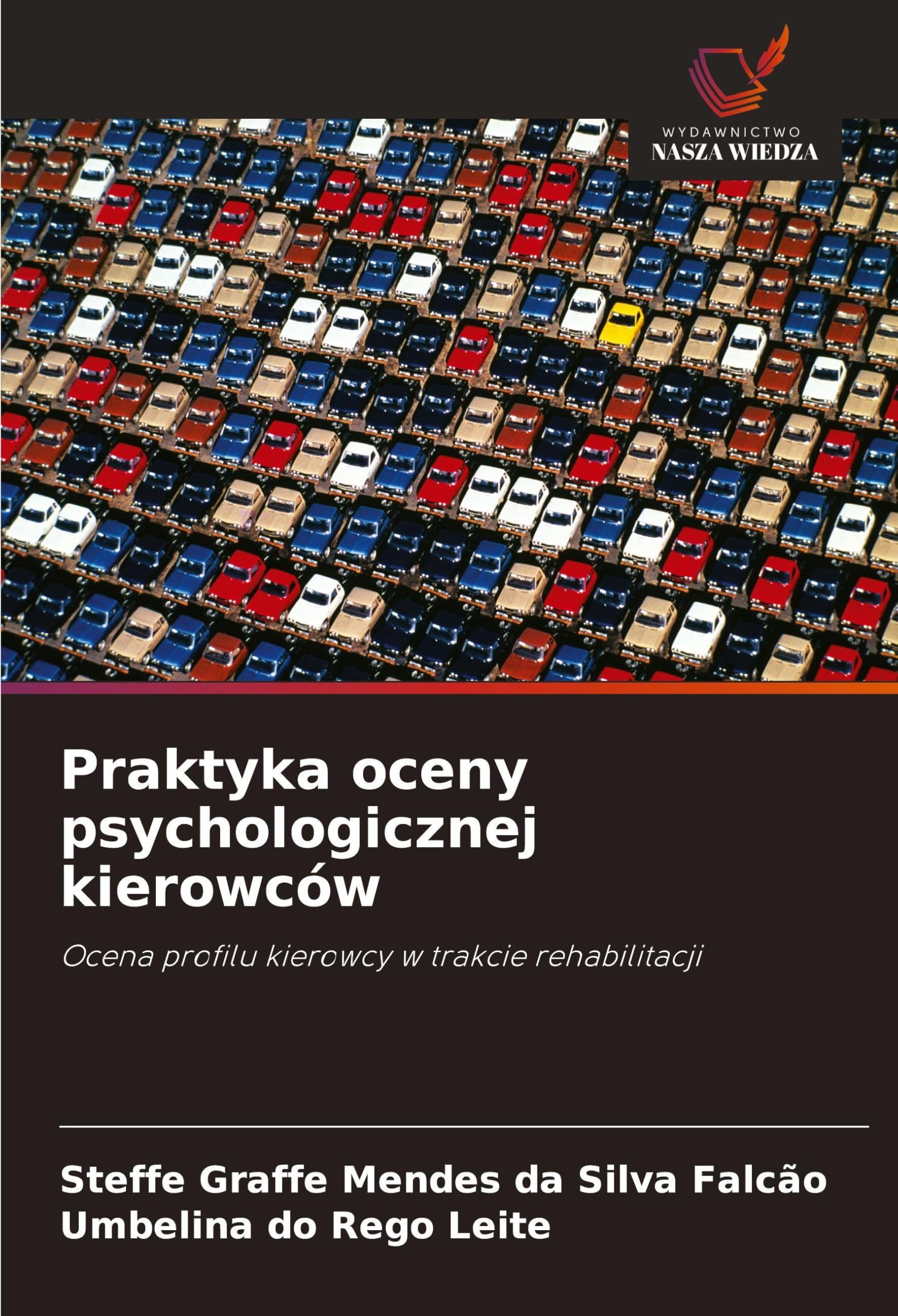 Praktyka oceny psychologicznej kierowców: Ocena profilu kierowcy w trakcie rehabilitacji