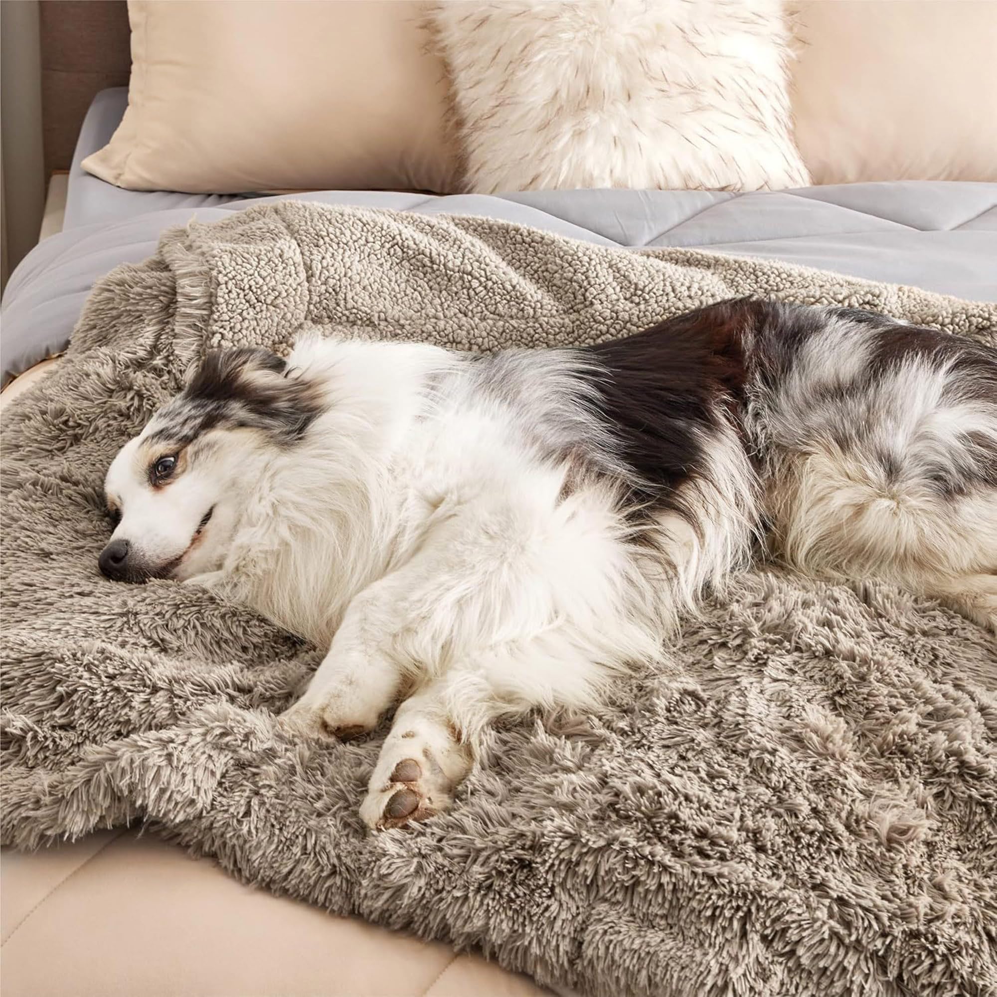 Manta para mascotas, mantas para perros pequeños, medianos y grandes, gatos, mantas de cama para cachorros, tapetes para dormir cálidos, tapetes lavables para muebles para sofá, asiento de