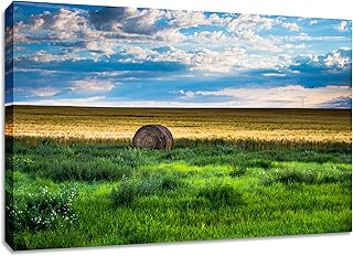 Saskatchewan Prairie Wall Art. Hay Bale Print. Farmland Scenery Colourful Photo. Canadian Prairies Picture Decor. Available In Various Sizes. (18x30x1.5)