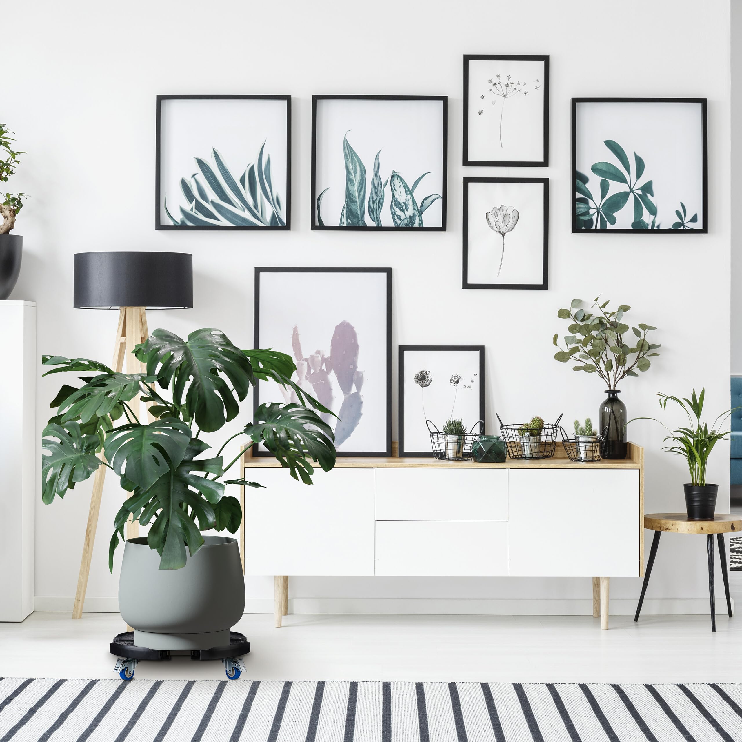 Relaxdays Support Plantes, Extensible, diamètre 40-57,5 cm, Plastique, Max. 200 kg, intérieur & extérieur, Gris foncé