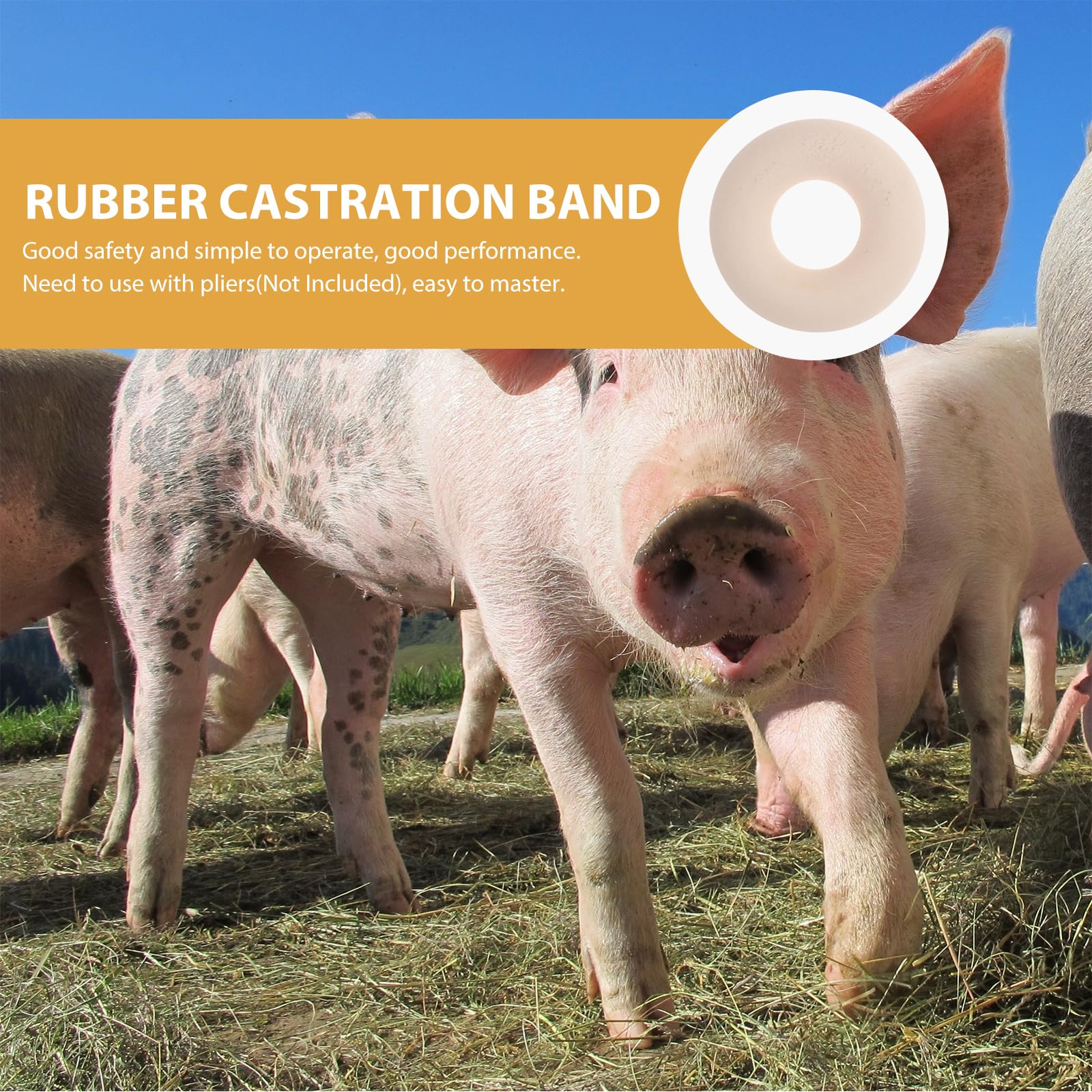 Cabilock 100x Kastrationsringe + Edelstahl-Zange – Elastische Gummiringe Für Schweine, Rinder & Schafe – Blutfrei & Schonend