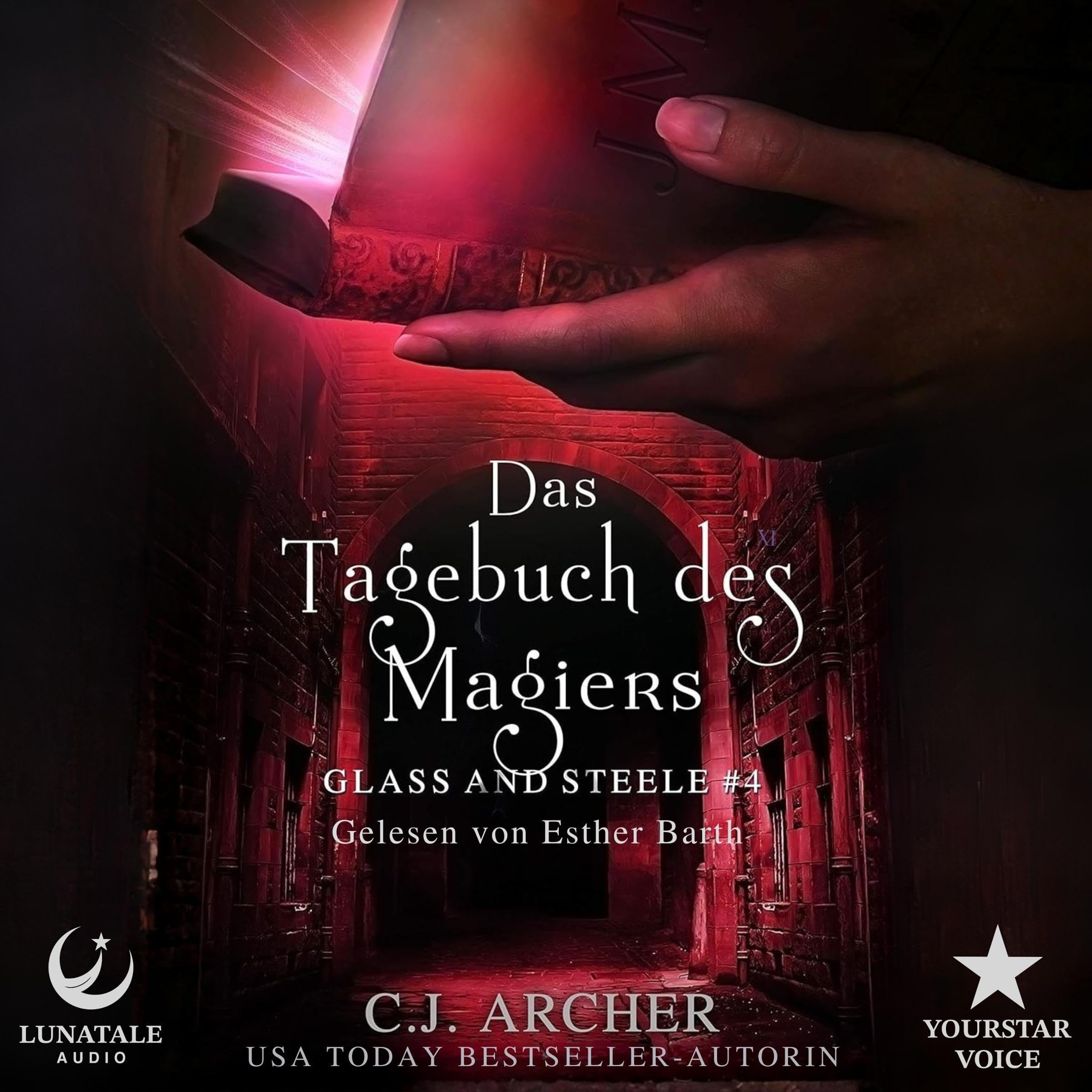 Cover art for Das Tagebuch des Magiers