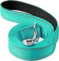 Erbine Reflective 6ft Dog Leash with Soft Padded Handle - Durable Nylon for Small Medium Dogs, Night Walking Safety (Turquoise, 3/4" Wide)