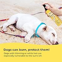 Vista 3 de Gentle Creatures Dog Sunscreen - SPF 30+ With Skin Moisturizing Vitamin E and Olive Oil - No Zinc Oxide Safe for All Dogs and Cats - Dog Beach