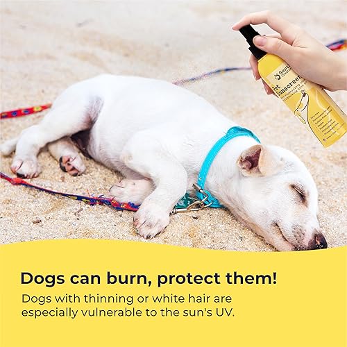 Miniatura 3 de Gentle Creatures Protector solar para perros, SPF 30+ con vitamina E hidratante para la piel y aceite de oliva, sin óxido de zinc, seguro para todos
