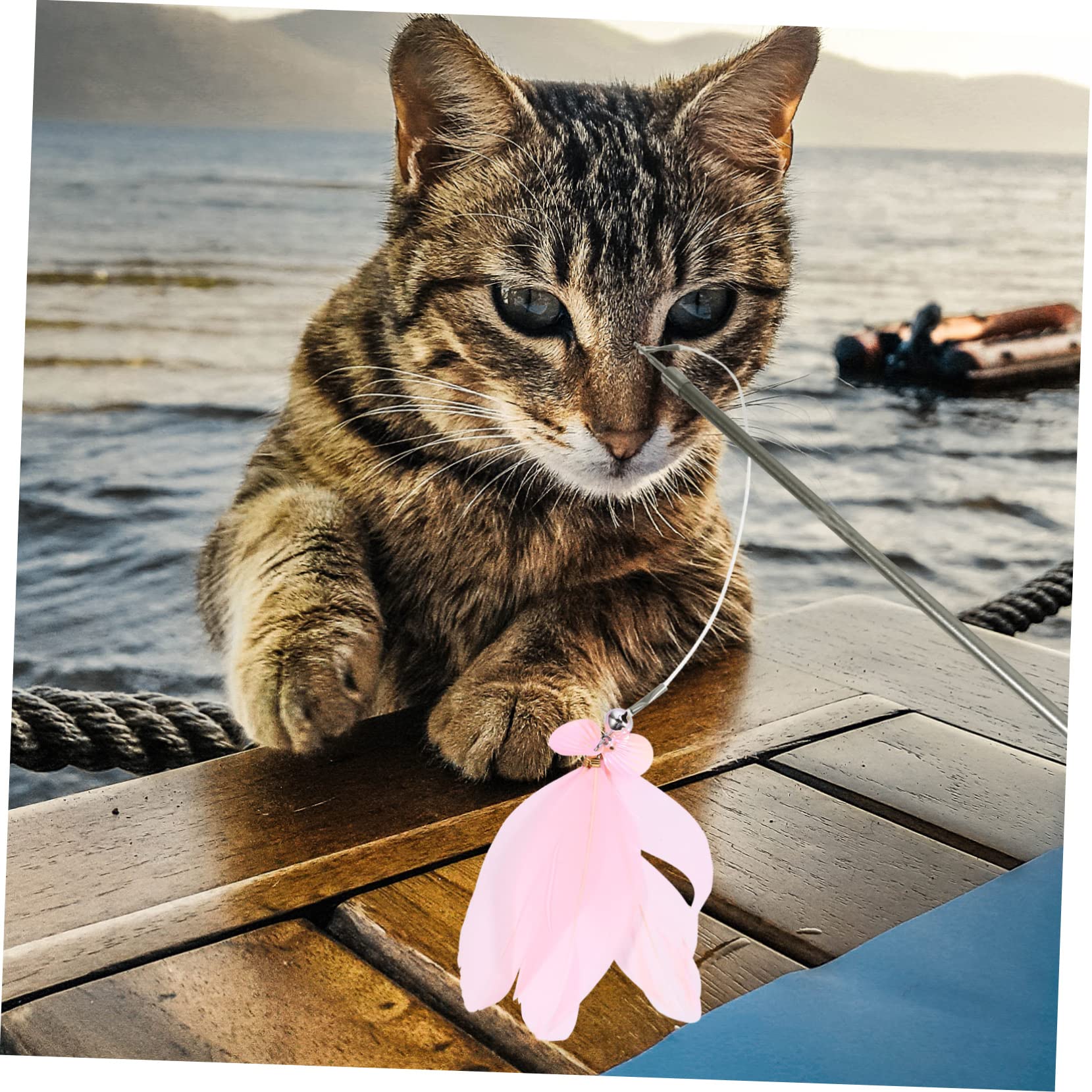 BESPORTBLE 3pièces Canne à Interactive pour Chat avec Jouets De Remplacement Ensemble De Jouets pour Chat Et