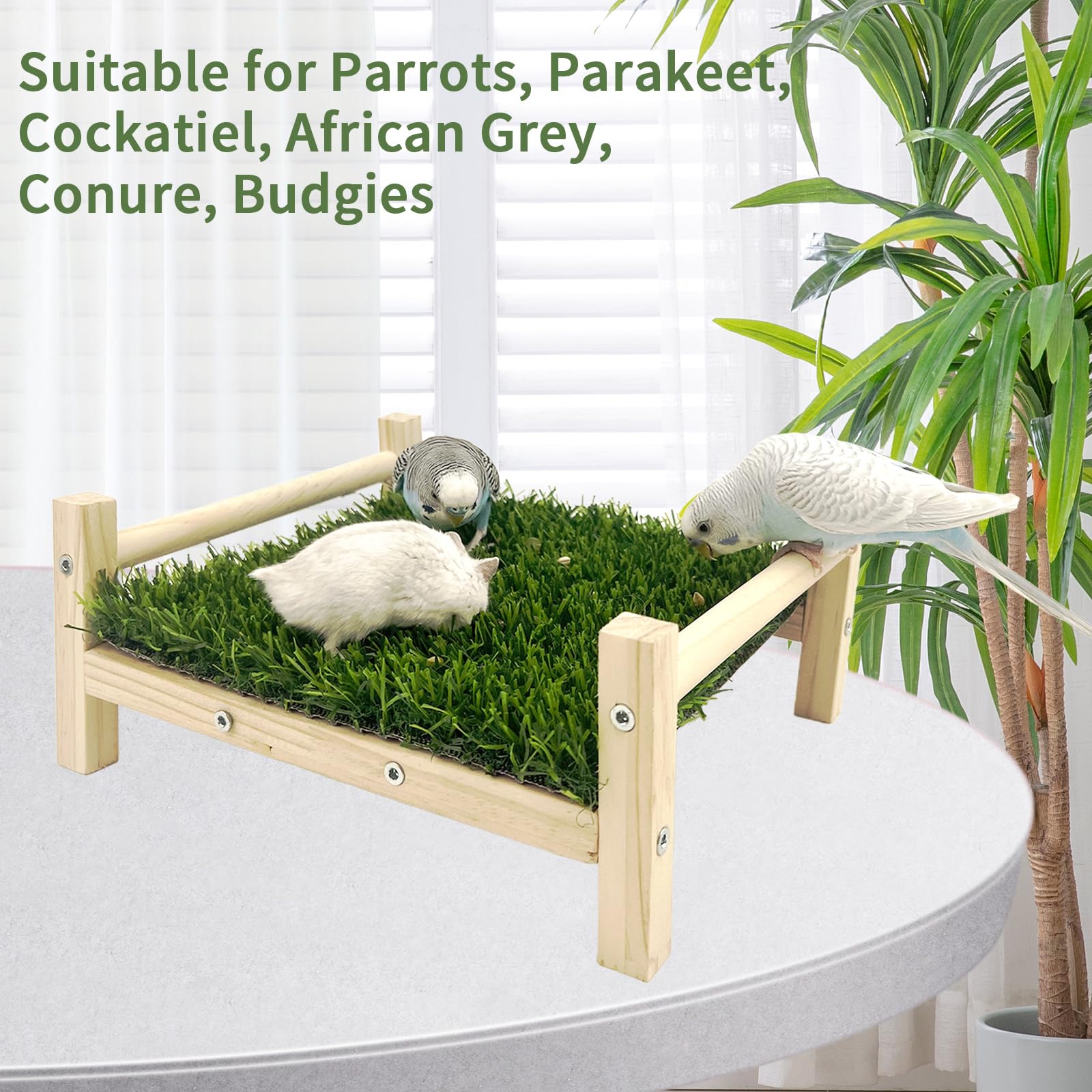 Bird Toy with Foraging Mat, Parrot Forage Toy Bed, Parrot Grass Perch Hammock Bed, Bird Perch Conure Platform Grass Forage Toy for Parakeet, Cockatiel, Lovebird, Budgie - image 5