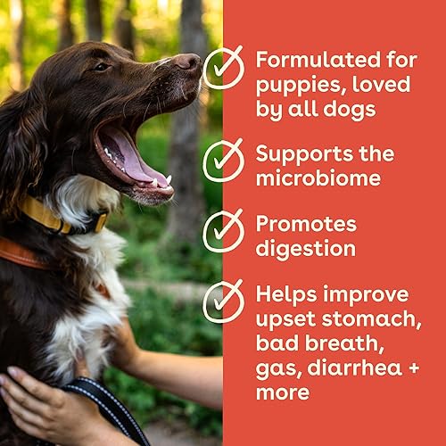 Miniatura 3 de Pupford Suplemento para la salud intestinal e inmunidad para cachorros y perros adultos fabricado en los Estados Unidos aprobado por veterinarios