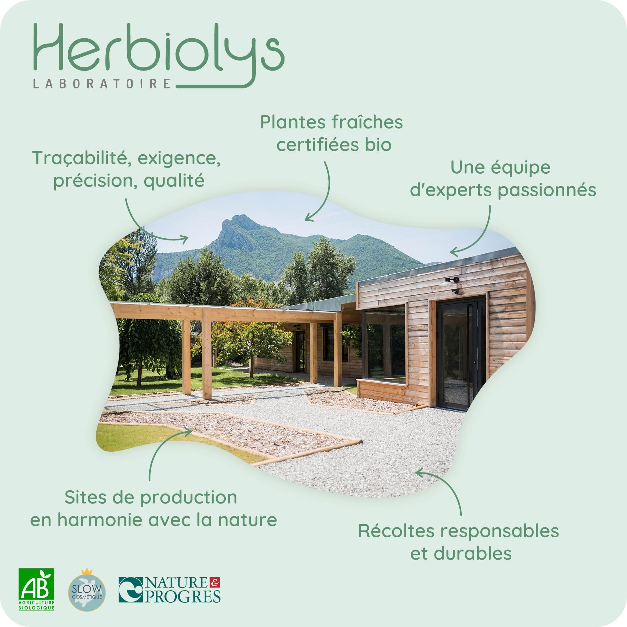 Herbiolys | Macérat de bourgeons Bio | Airelle rouge (Vaccinium vitis idaea) | Féminin & Digestion | Gemmothérapie Bio | 50 ml
