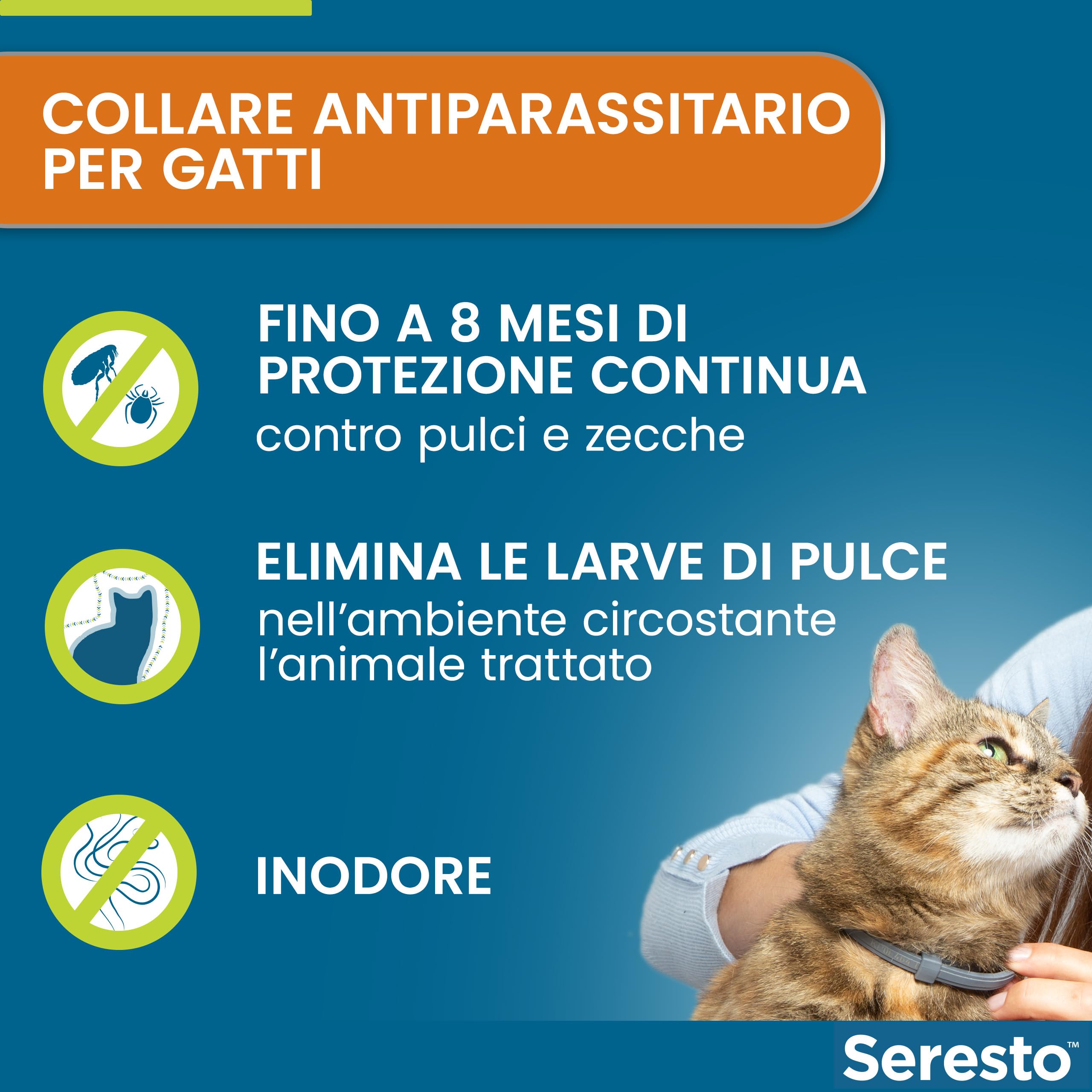 Seresto collare antiparassitario per gatti. Elimina pulci e zecche, fino a 8 mesi di protezione, Il pacchetto può variare