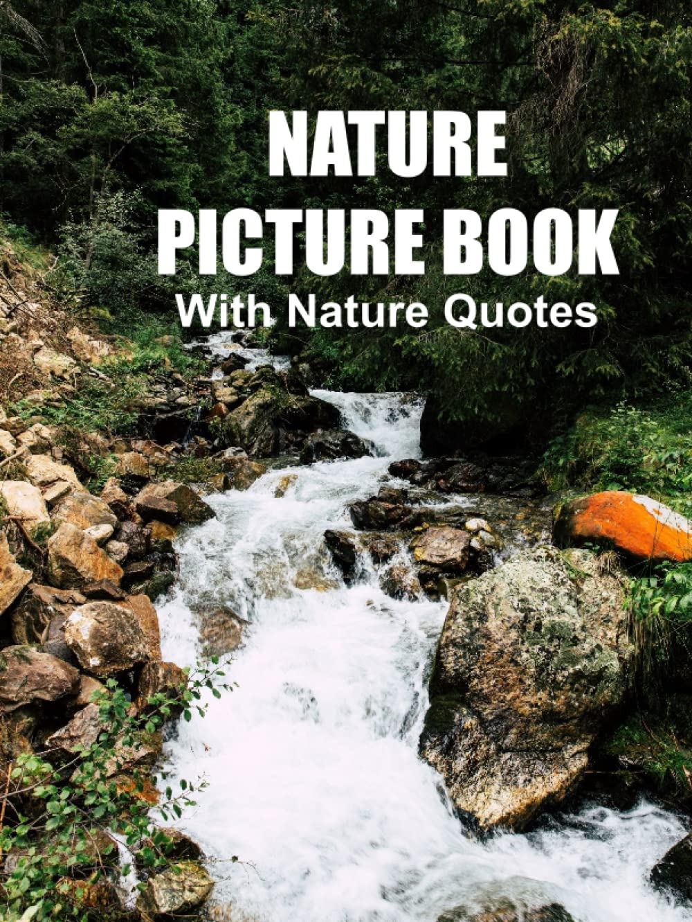 Livre de photos de nature et citations pour apaiser les seniors avec Alzheimer